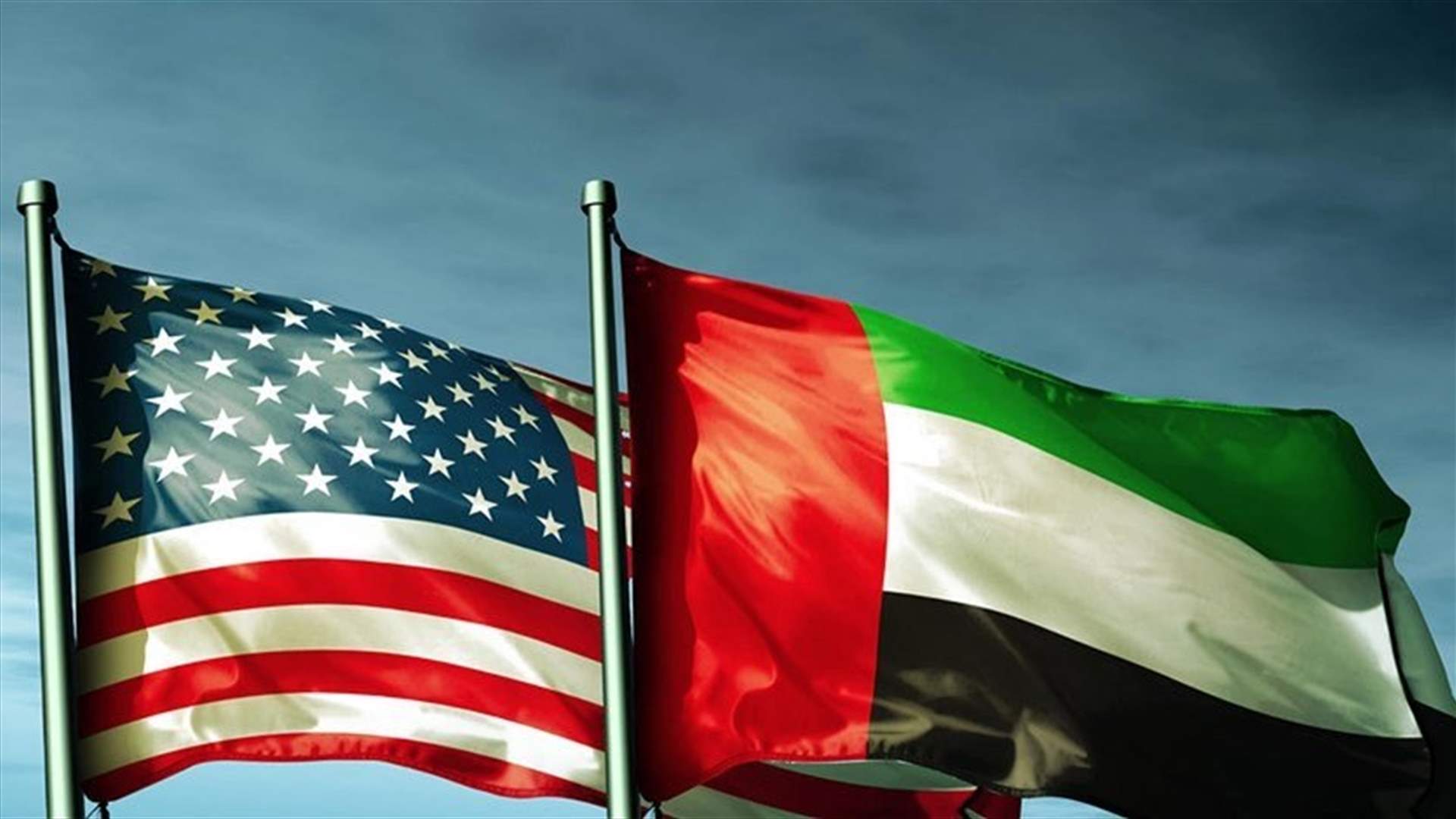 UAE, Blinken discuss ways to reduce Israel-Palestinian tensions - WAM
