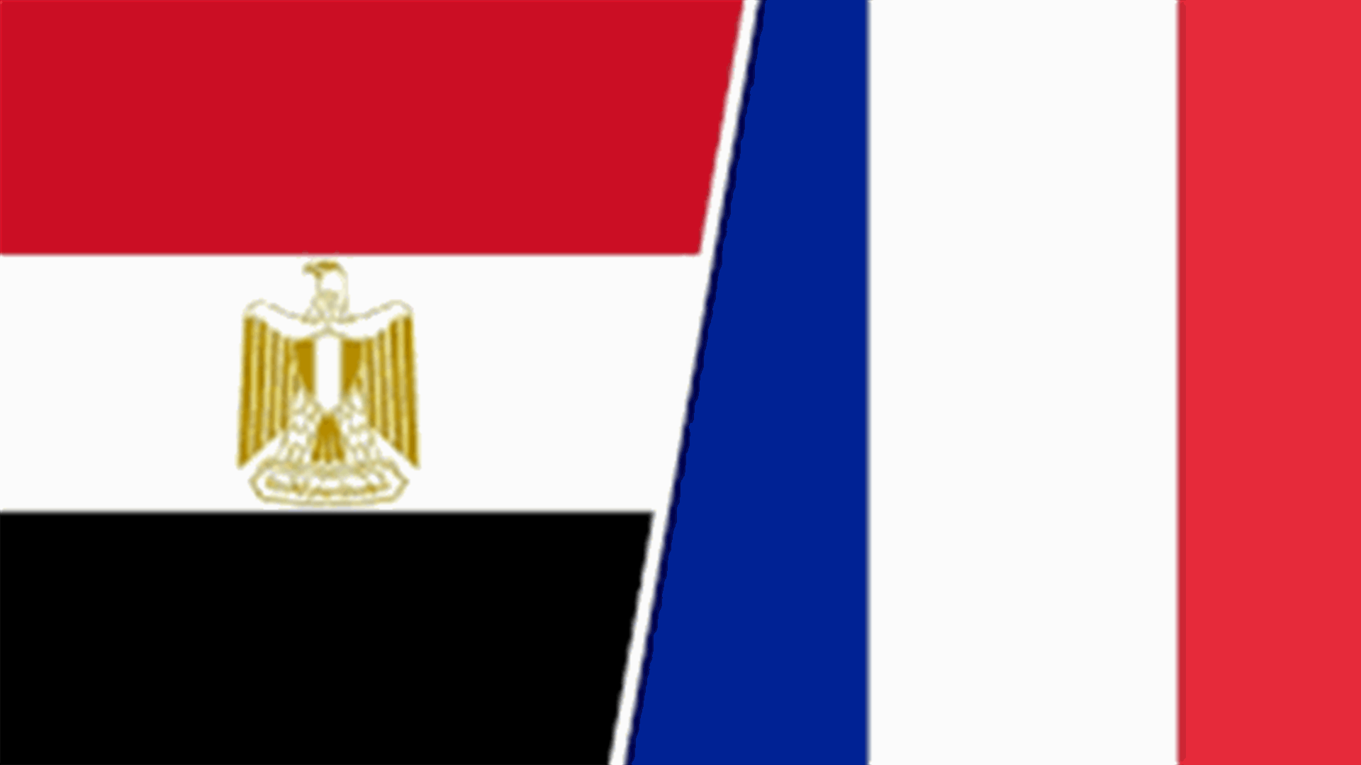 France, Egypt striving for ceasefire in Gaza conflict - Elysee statement