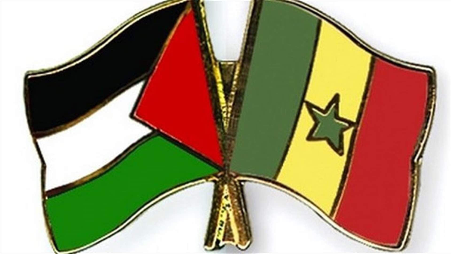 تظاهرة في السنغال دعما للفلسطينيين