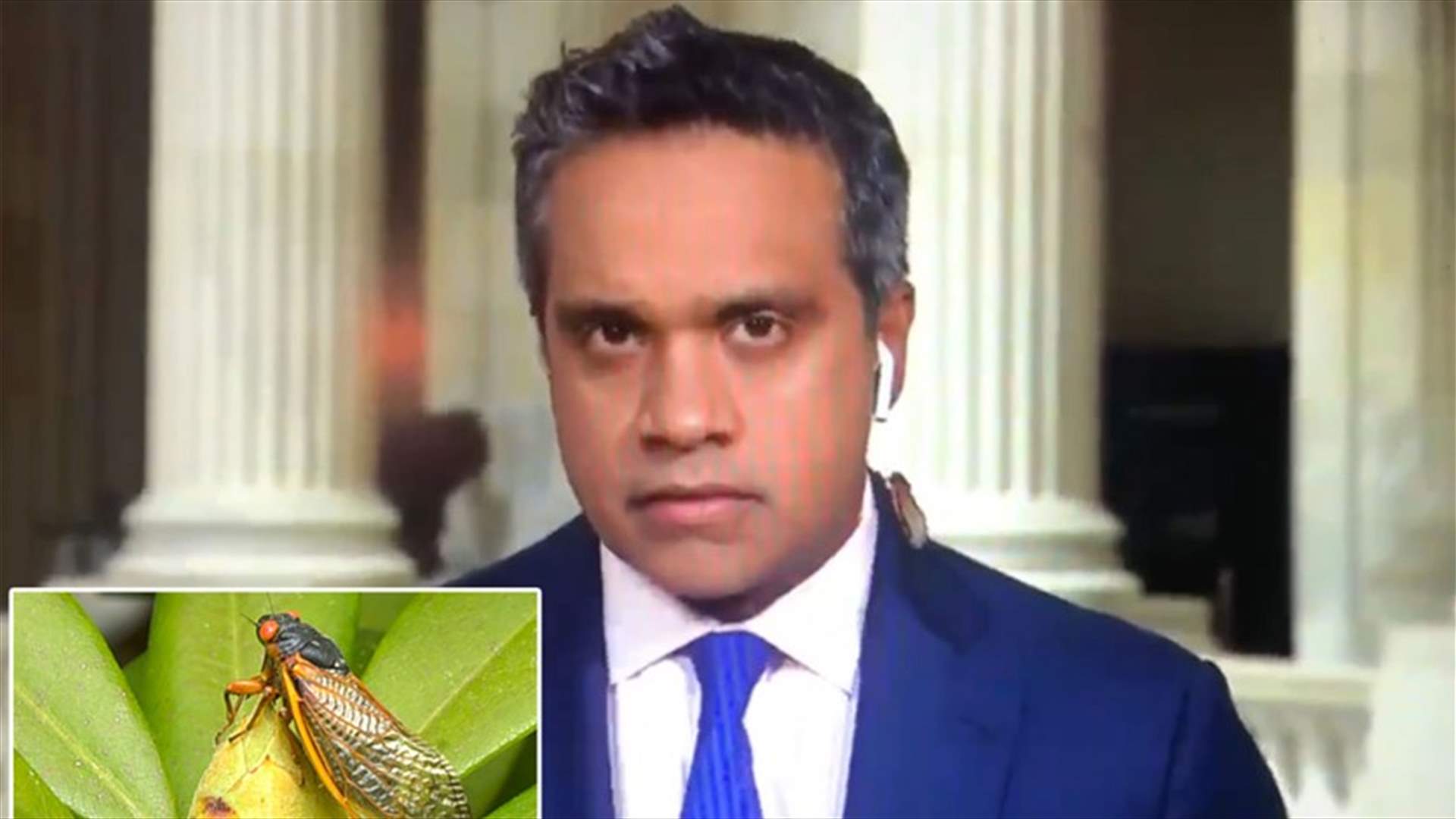 حشرة ضخمة تزحف على رقبة مراسل CNN  أثناء بثٍ مباشرٍ... إليكم رد فعله (فيديو)
