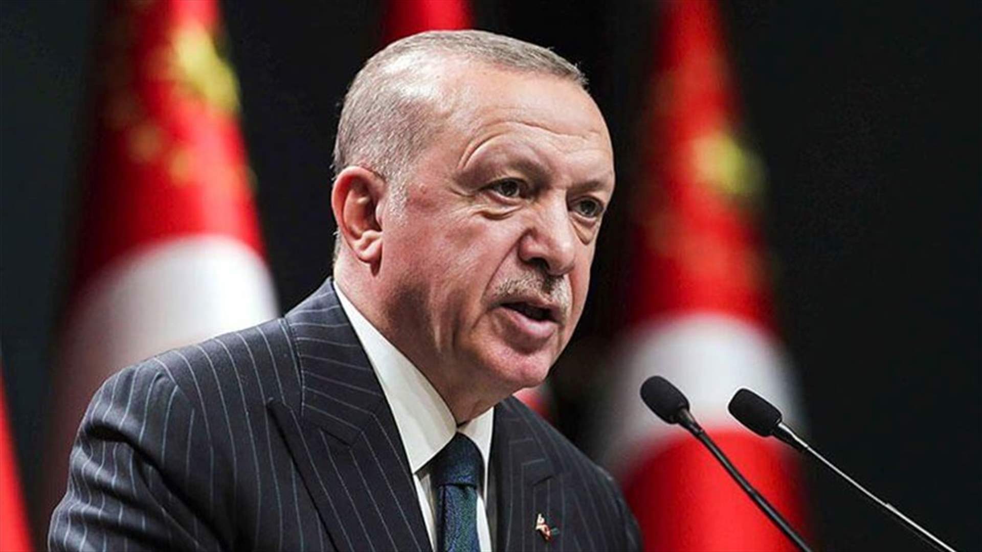 أردوغان يدعو إلى شراكة مع مصر ودول الخليج تنطوي على "ربح متبادل"