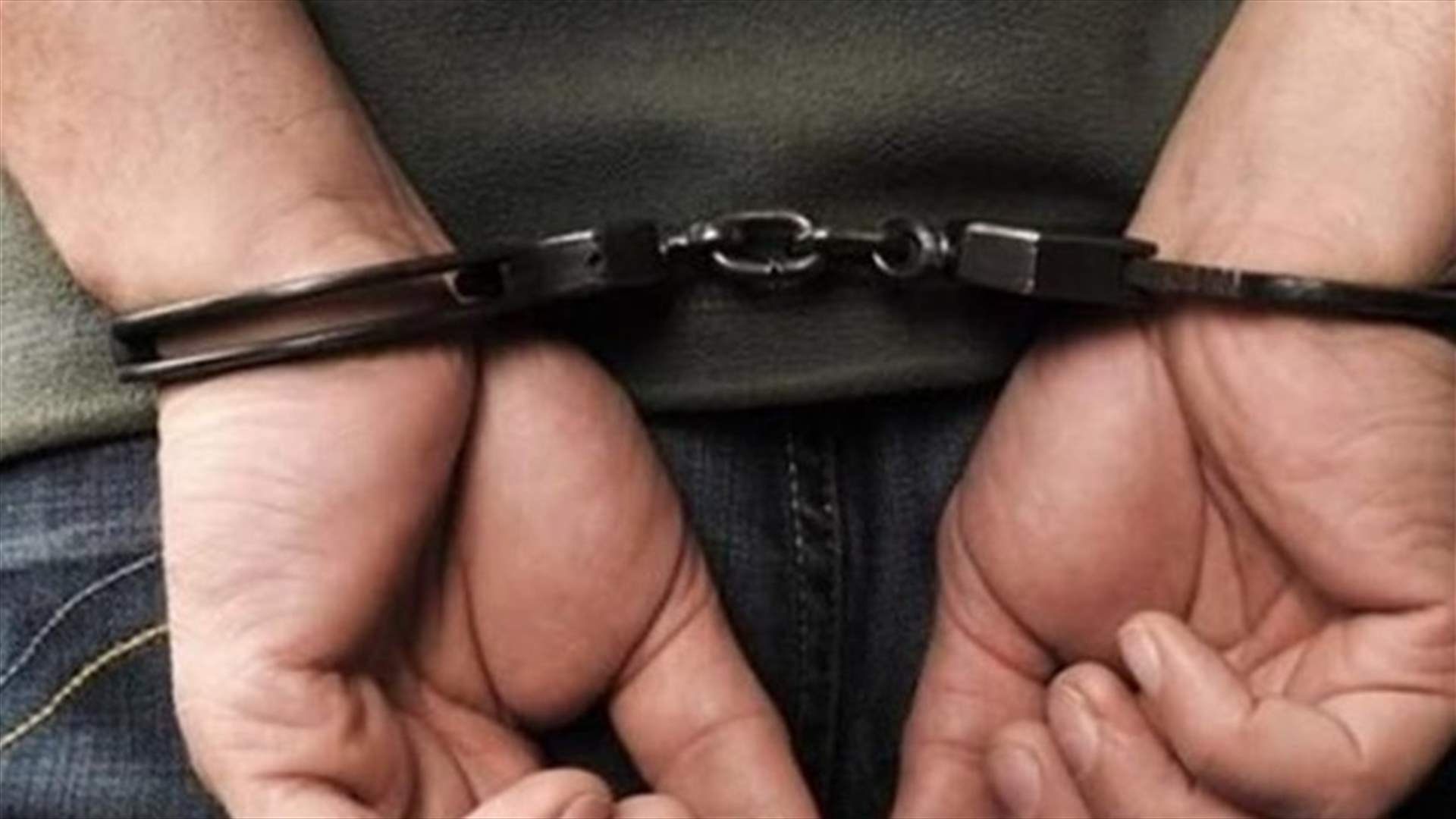 النمسا تعتقل 81 شخصا في إطار حملة عالمية على الجريمة المنظمة