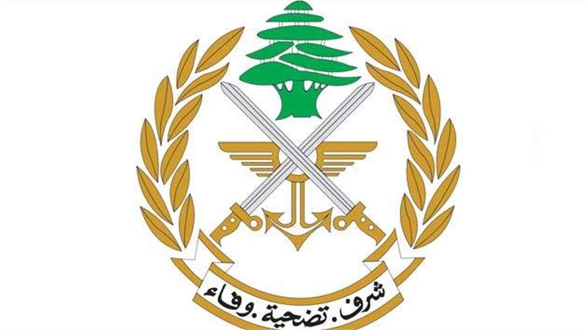الجيش: توقيف شخص في منطقة حي السلم