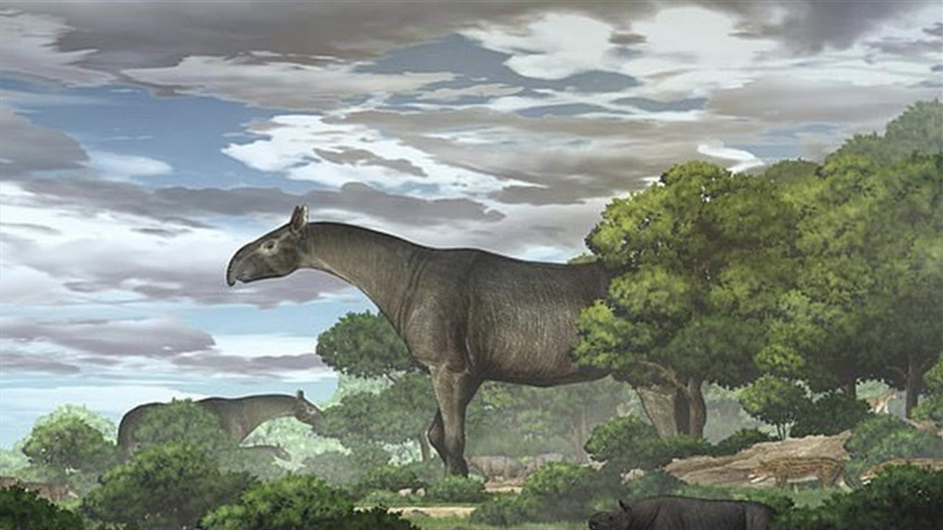 كان يعيش منذ أكثر من 26 مليون سنة...حفريات صينية تكشف فصيلا جديدا من وحيد القرن العملاق المنقرض