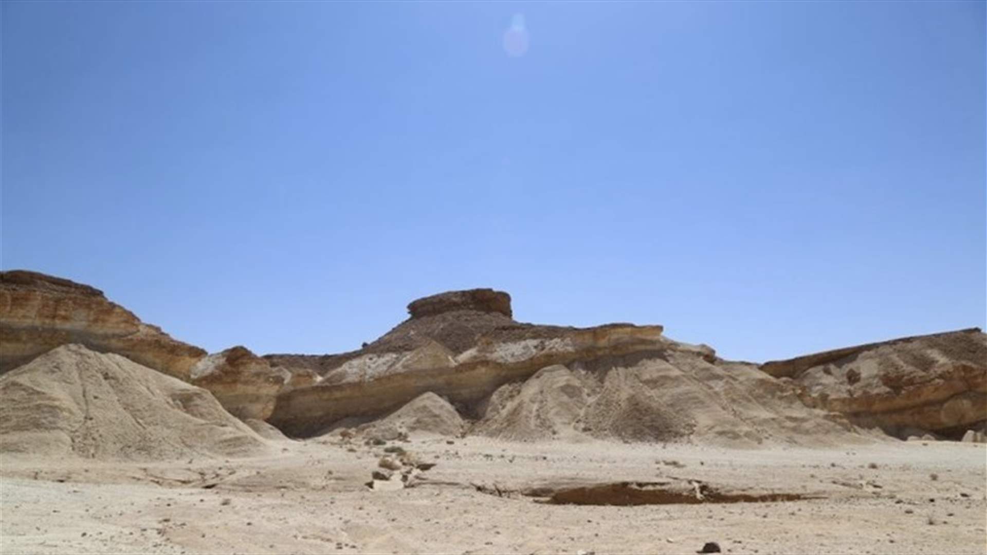 في السعودية... اكتشاف بقايا حوت منقرض منذ 37 مليون سنة (صور)