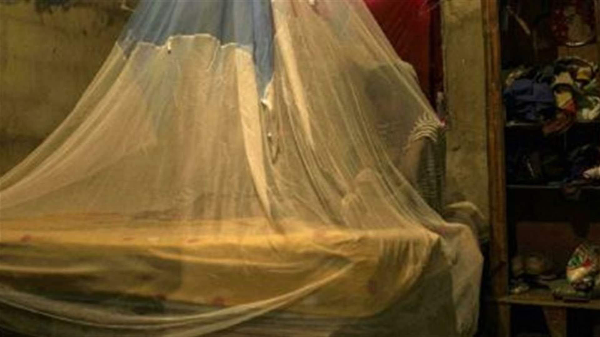 الصين قضت على الملاريا بعد مكافحة استمرت 70 عاماً