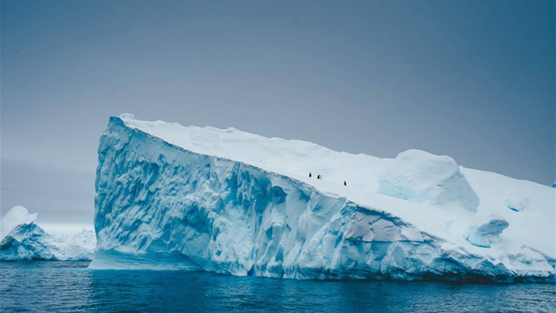 القطب الجنوبي المتجمد يسجّل درجة حرارة غير مسبوقة