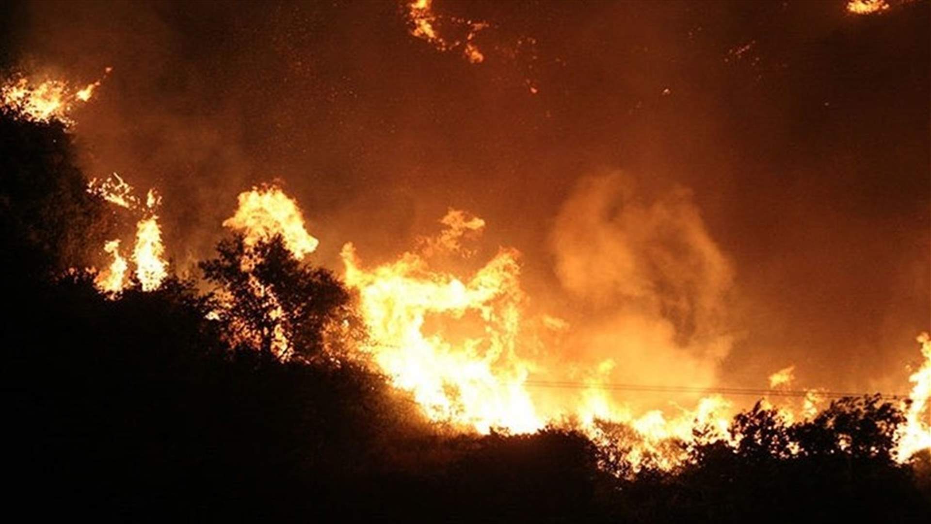 Four dead as Cyprus forest fire rages