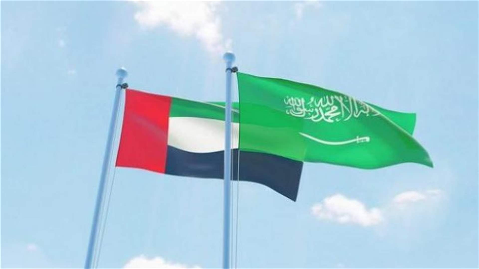 في خطوة تمثل تحديا للإمارات... السعودية تعدل قواعد الاستيراد من الدول الأعضاء في مجلس التعاون الخليجي