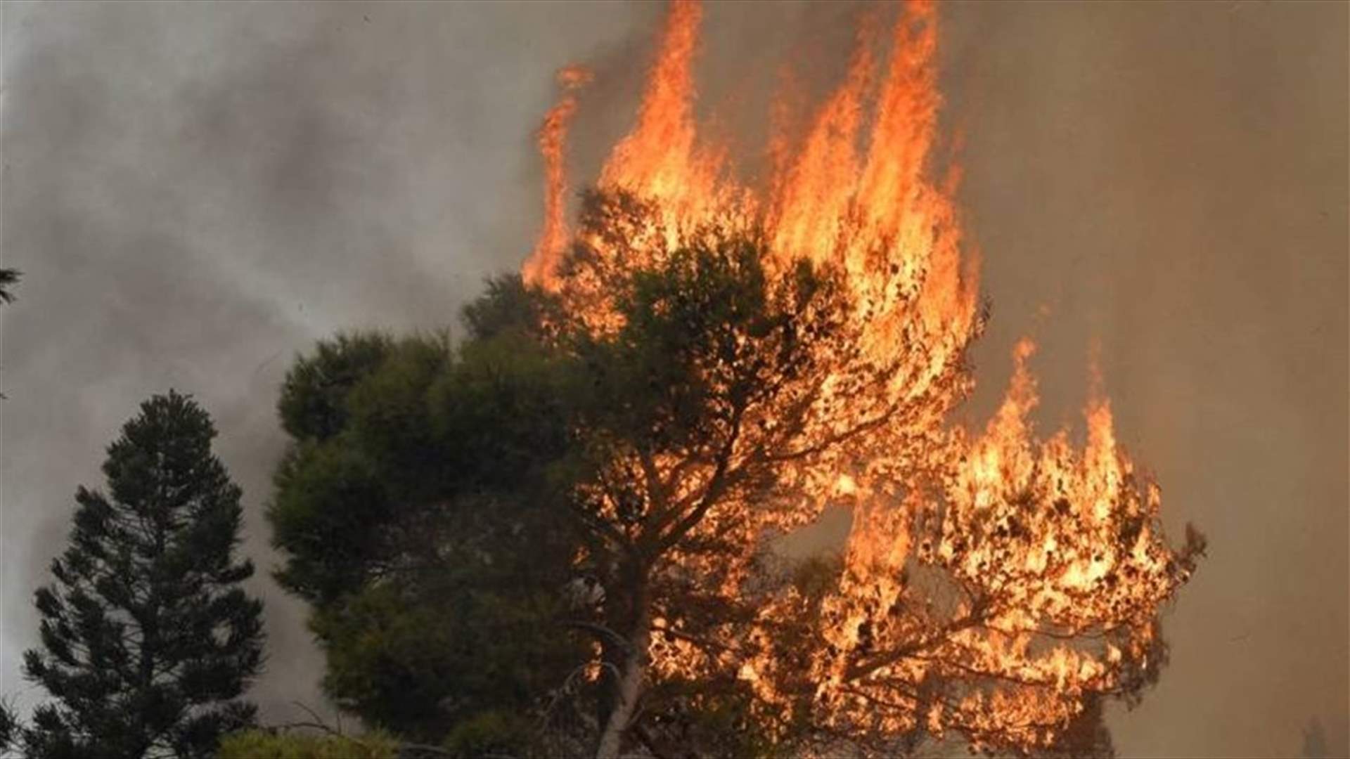 تحذير من اندلاع الحرائق وتشديد على التبليغ فورًا