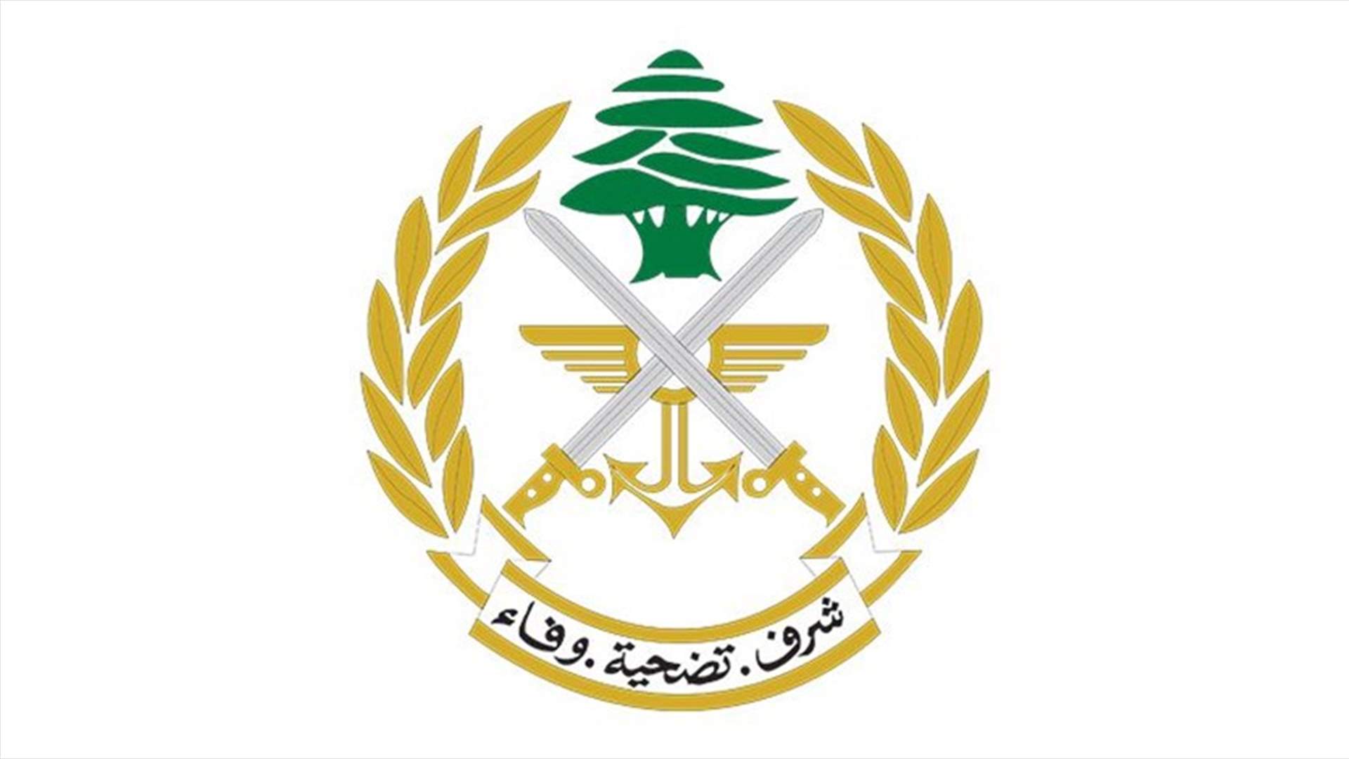 إليكم نتيجة التدابير الأمنية التي اتخذها الجيش خلال شهر حزيران