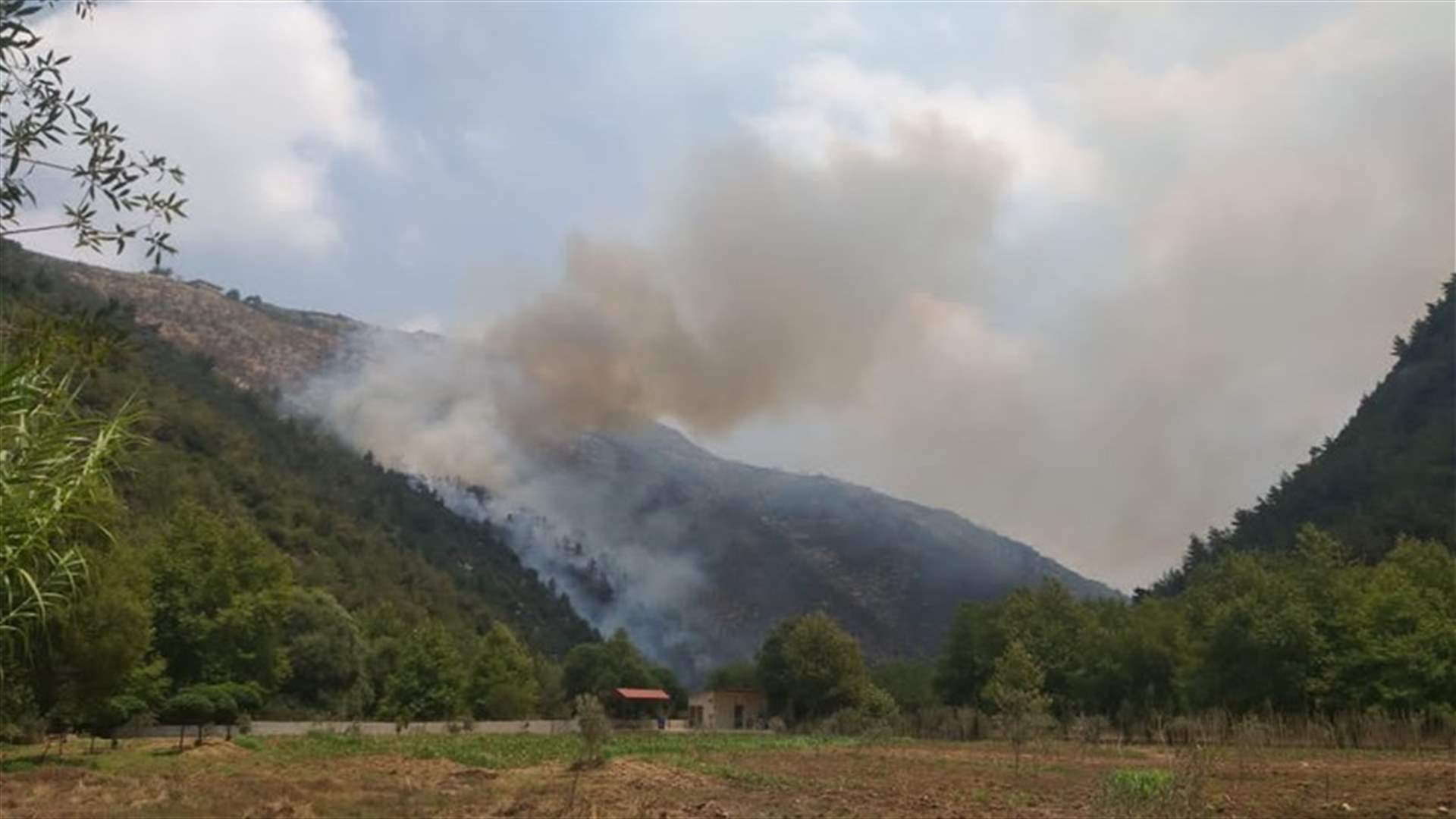 حريق كبير في الغابات المحيطة ببحيرات عيون السمك ومناشدة بإطفائه
