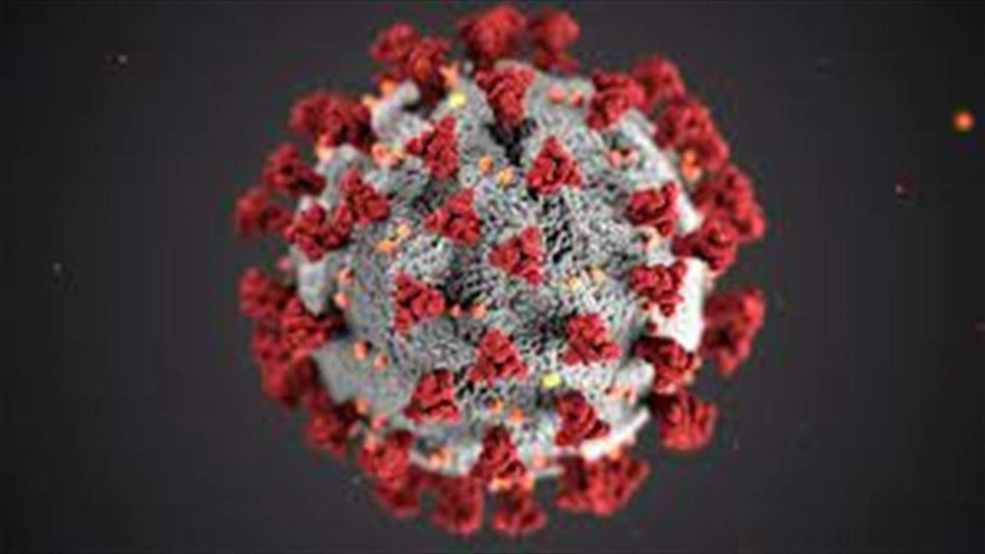 Lebanon registers 543 new Coronavirus cases, 1 new death