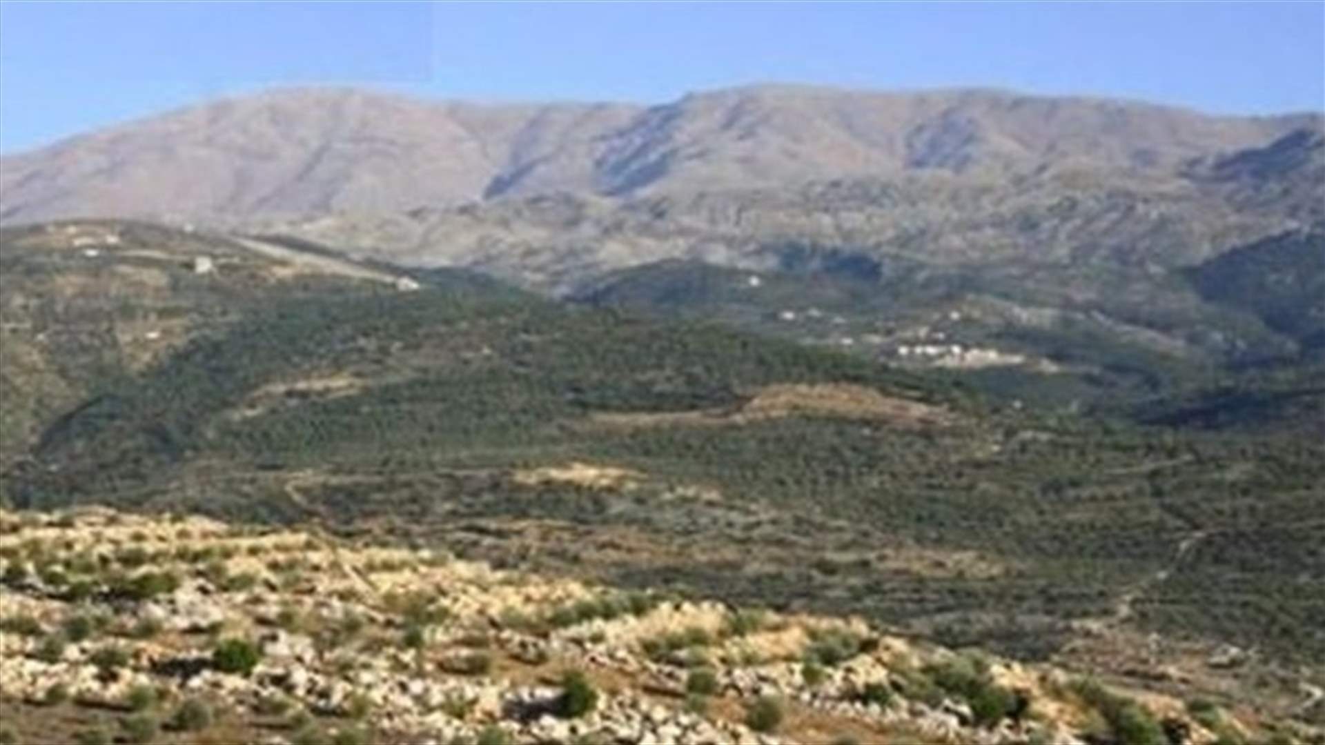 الجيش الاسرائيلي يفرج عن 500 رأس ماعز احتجزها امس