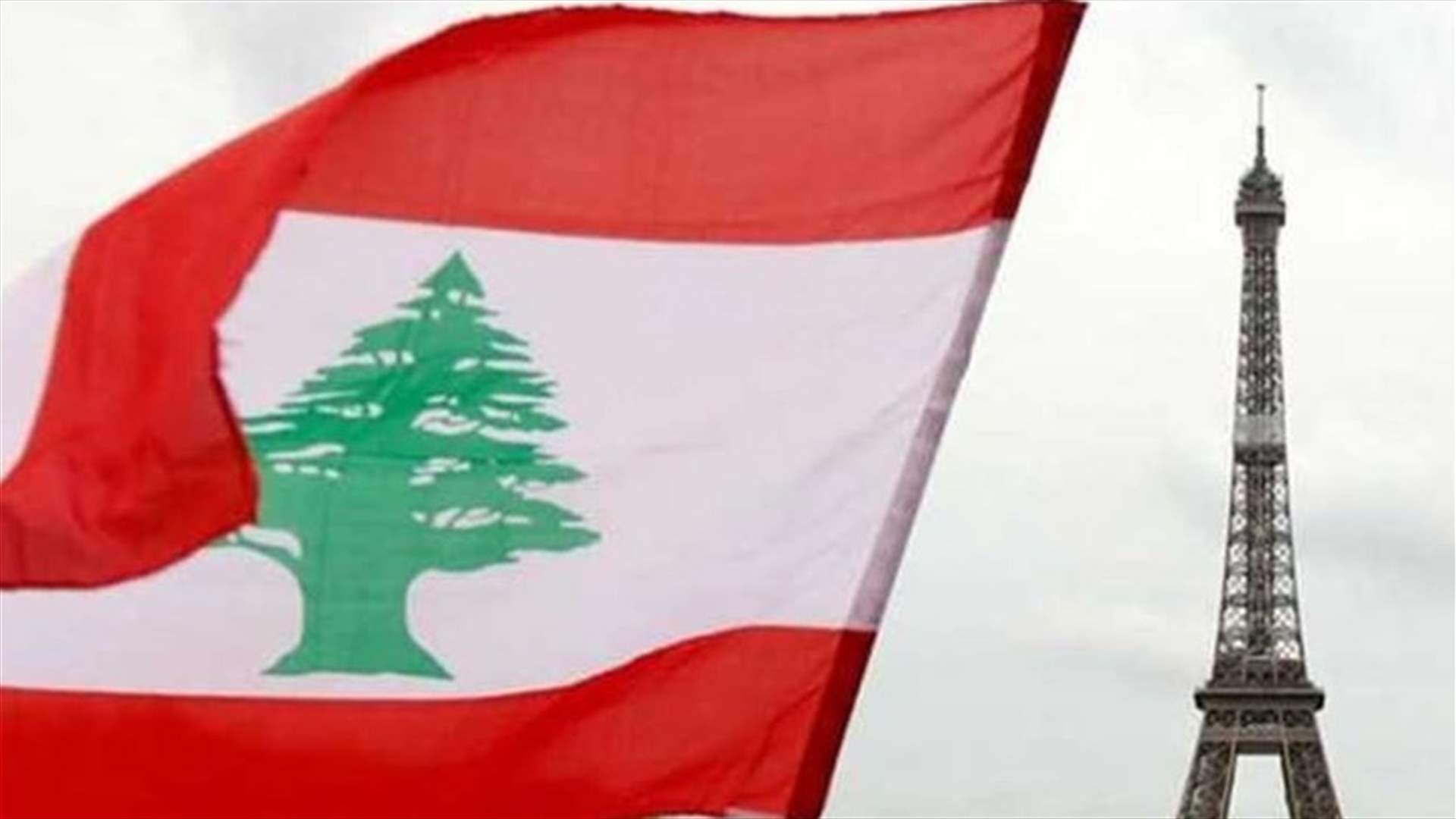 French-Lebanese Friendship Committee meets with Mohammad Raad