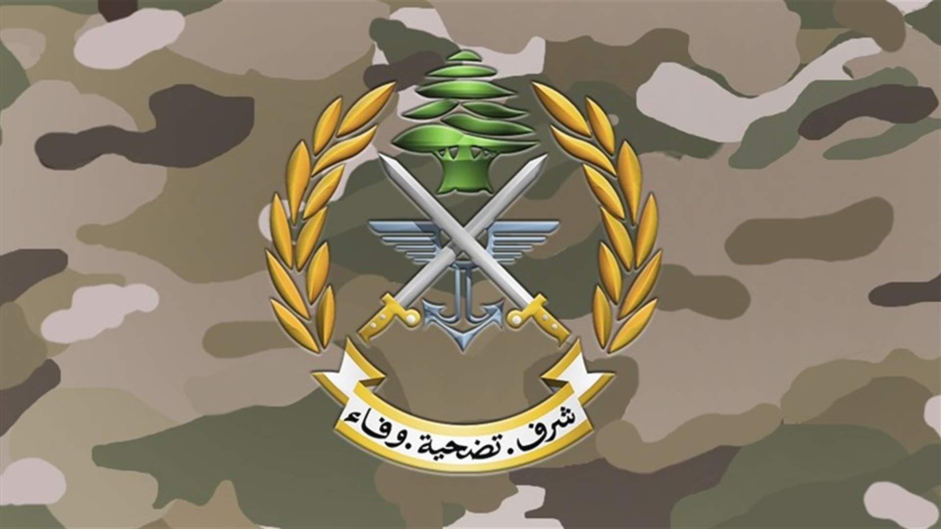 الجيش يضبط كمية من المحروقات المعدة للتهريب.. ويوقف المتورطين