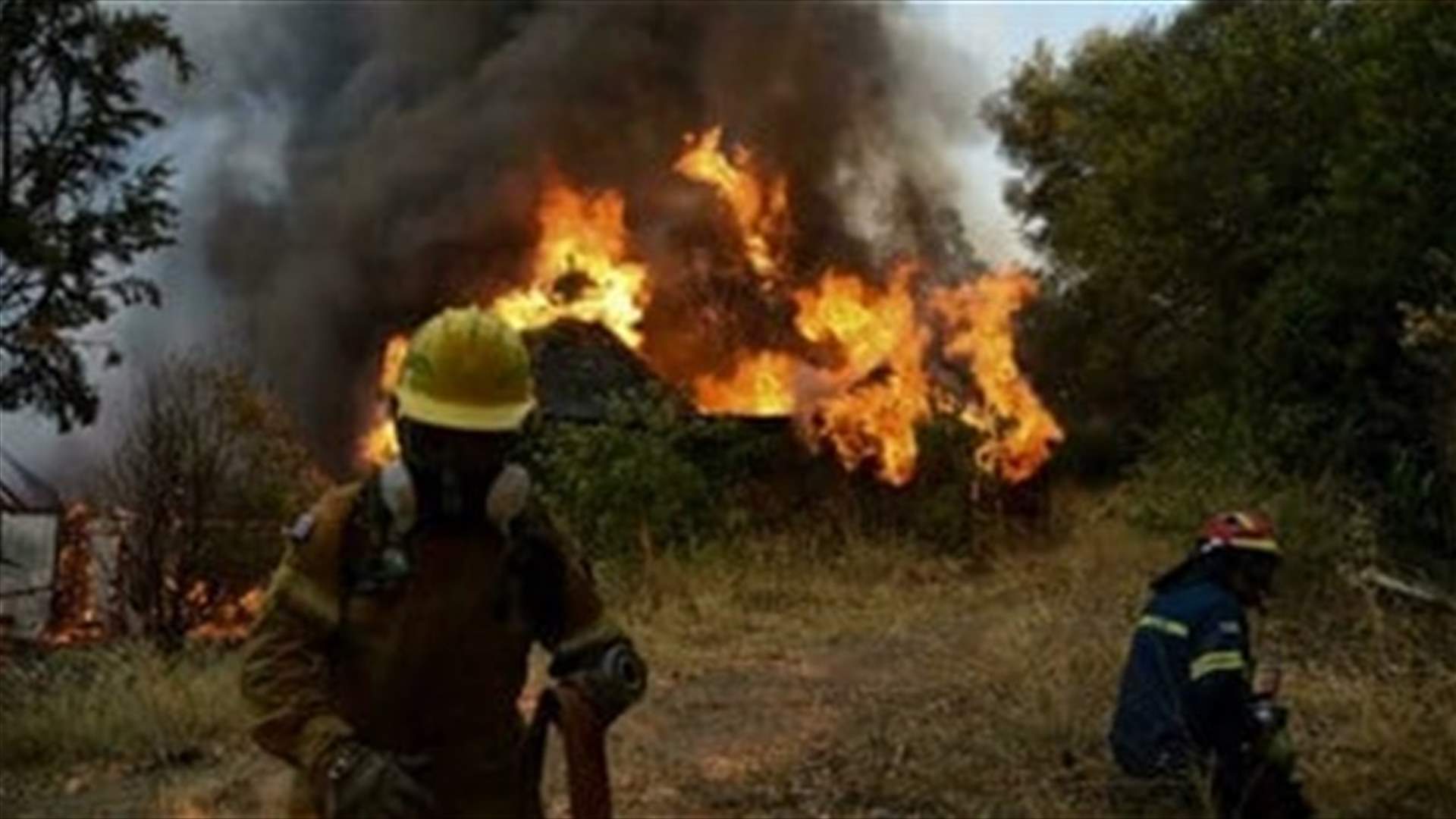 Firefighters battle Western Greece wildfire burning through the night