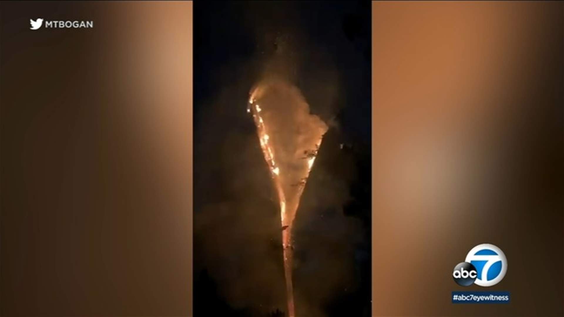 في كاليفورنيا... صاعقة برق تقسم جذع شجرة يزيد عمرها عن 200 عام إلى نصفين (فيديو)
