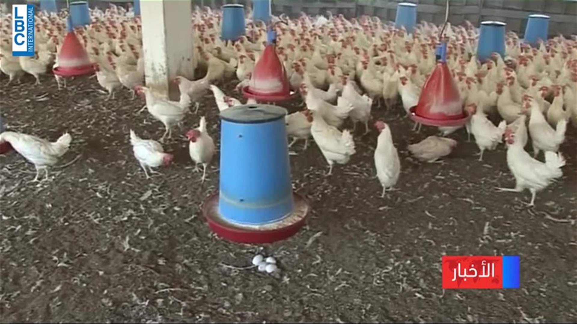 LBCI