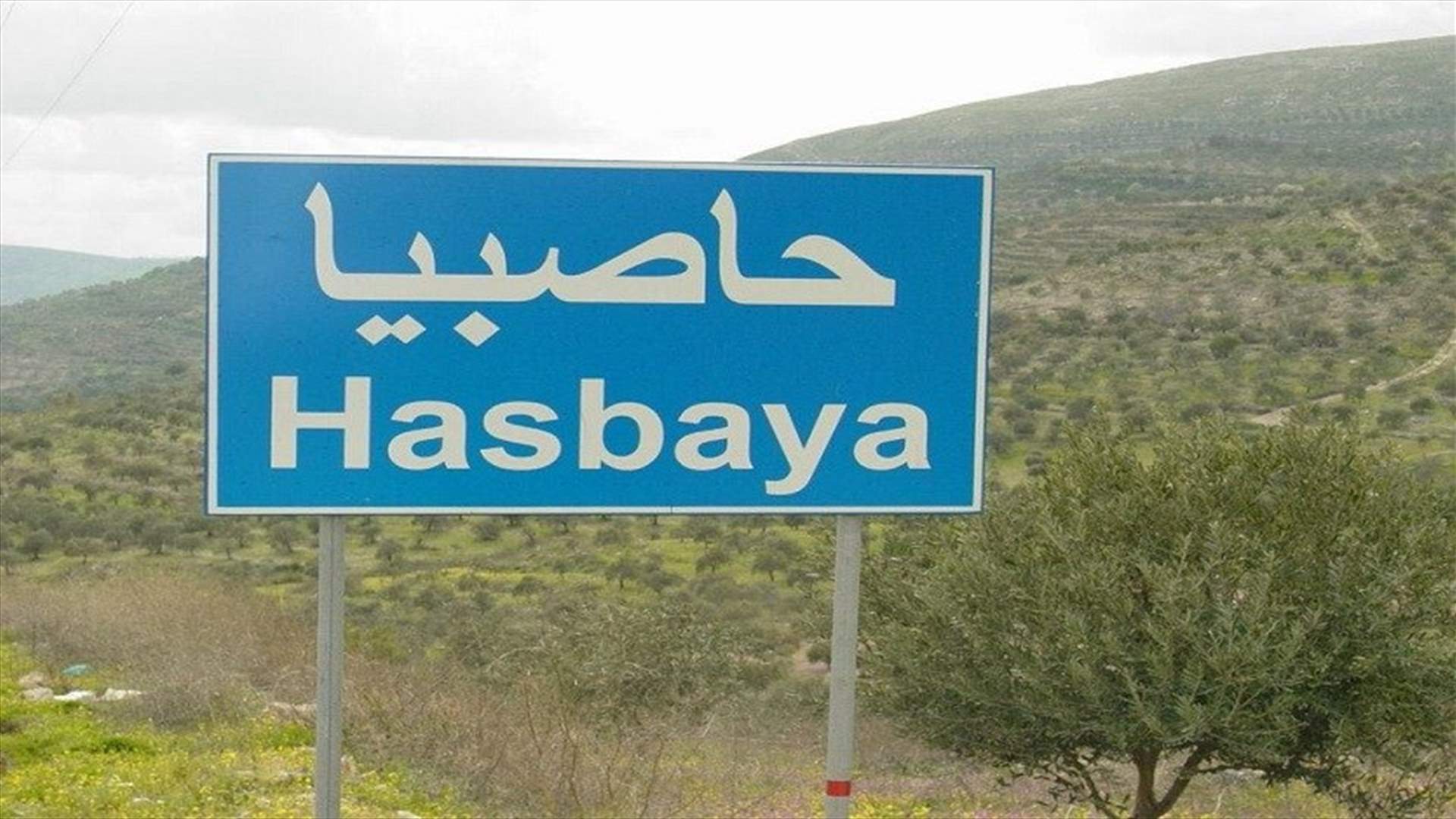 رئيس بلدية الماري في حاصبيا: وصلنا الى العتمة وقد نضطر الى مصادرة اي صهريج محروقات يمر في منطقتنا