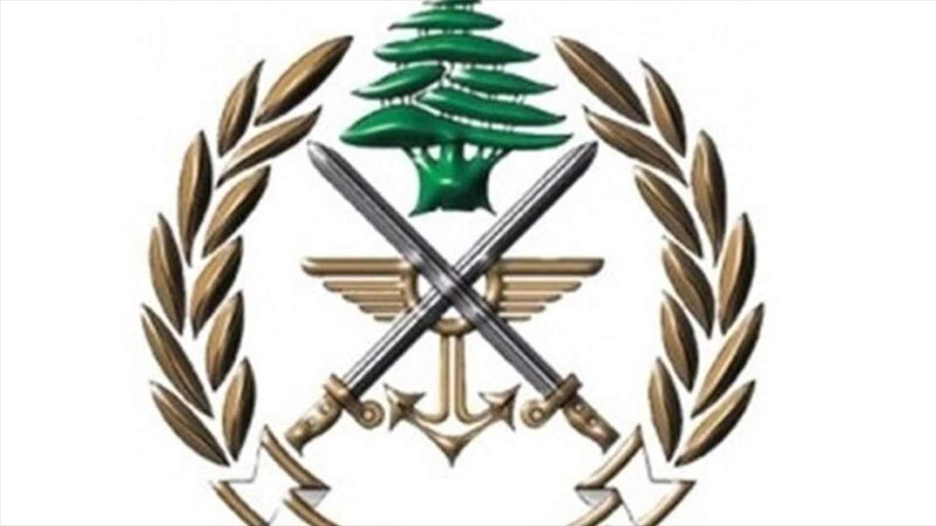 الجيش يجبر صاحب محطة في الهرمل على بيع مخزون البنزين