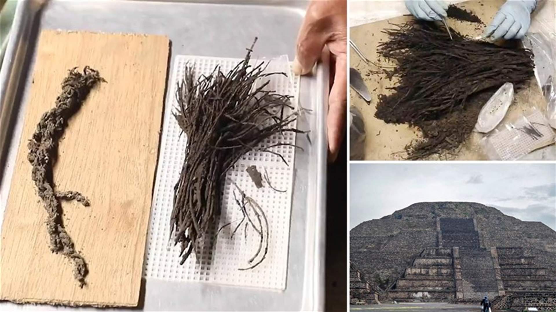 في المكسيك ... العثور على باقات زهور تُركت للآلهة منذ 1800 عام