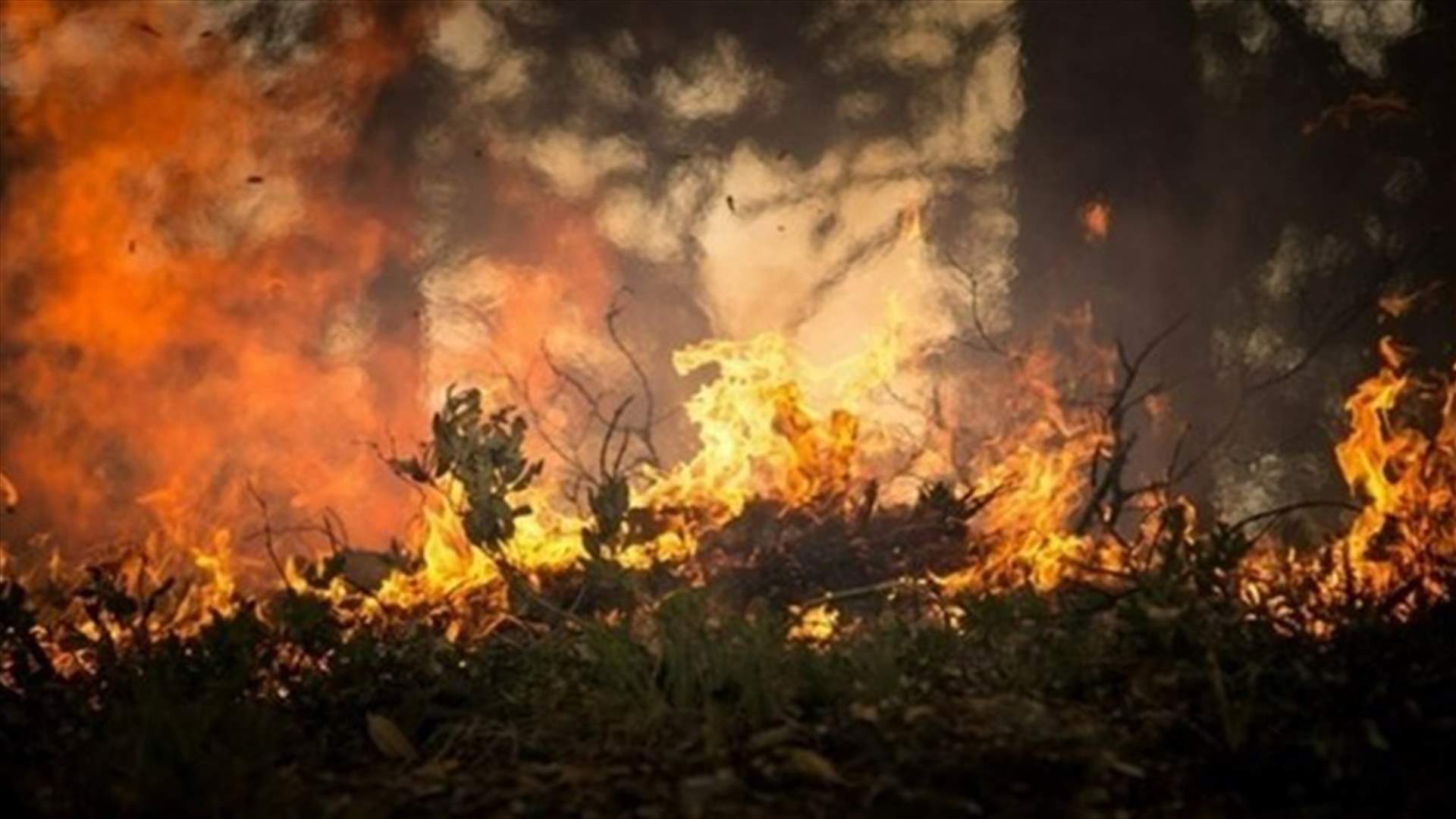 'Down to nothing' - dry, heavy winds stoke growing California wildfires