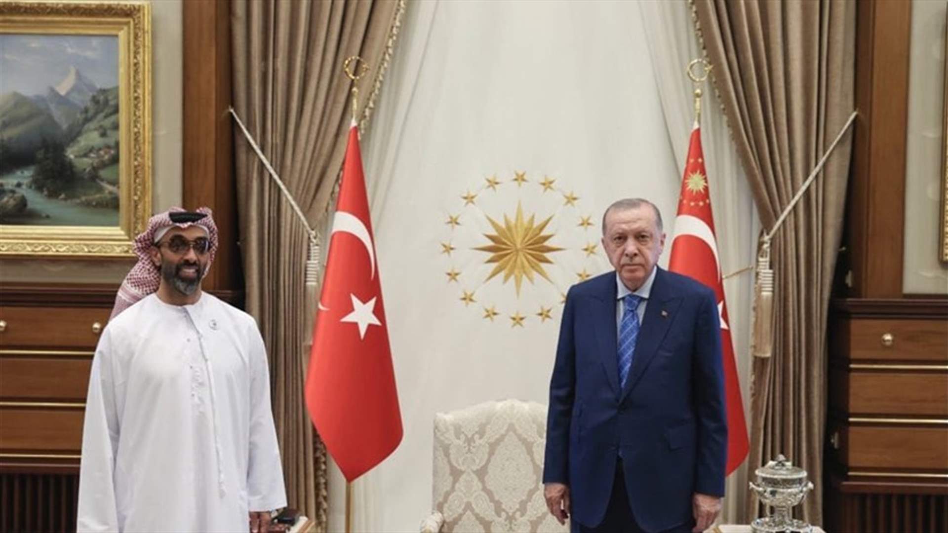 اجتماع نادر بين اردوغان ومسؤول كبير من الإمارات... هذه تفاصيله