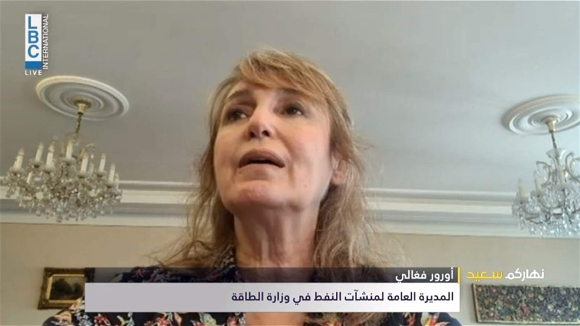فغالي للـ LBCI: القطاعات الصناعية غير مجبرة بالمازوت المدعوم أو غير المدعوم