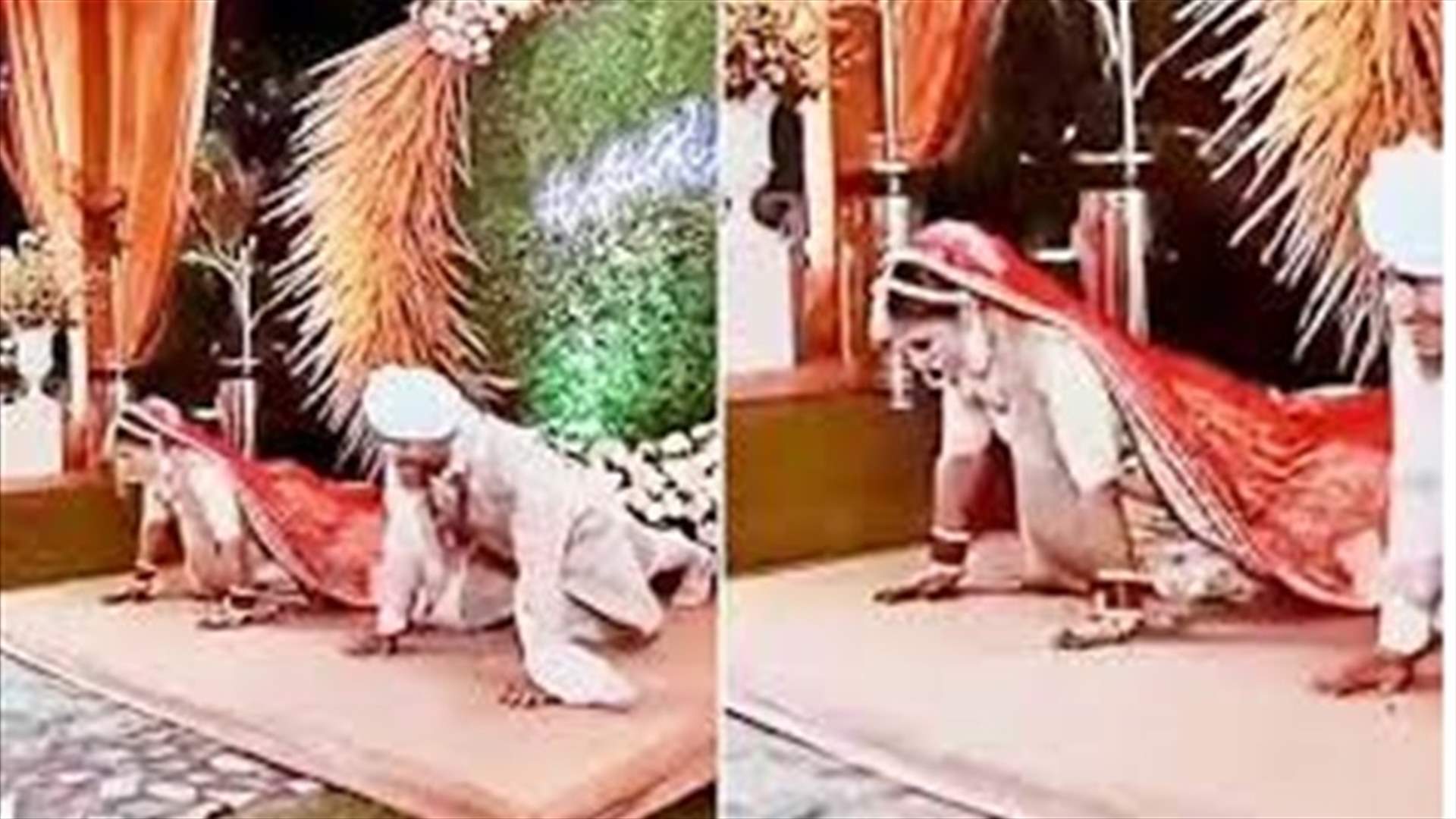 عروسان يقومان بتمارين الضغط خلال زفافهما... وفيديو يوثّق تصرّفهما الغريب