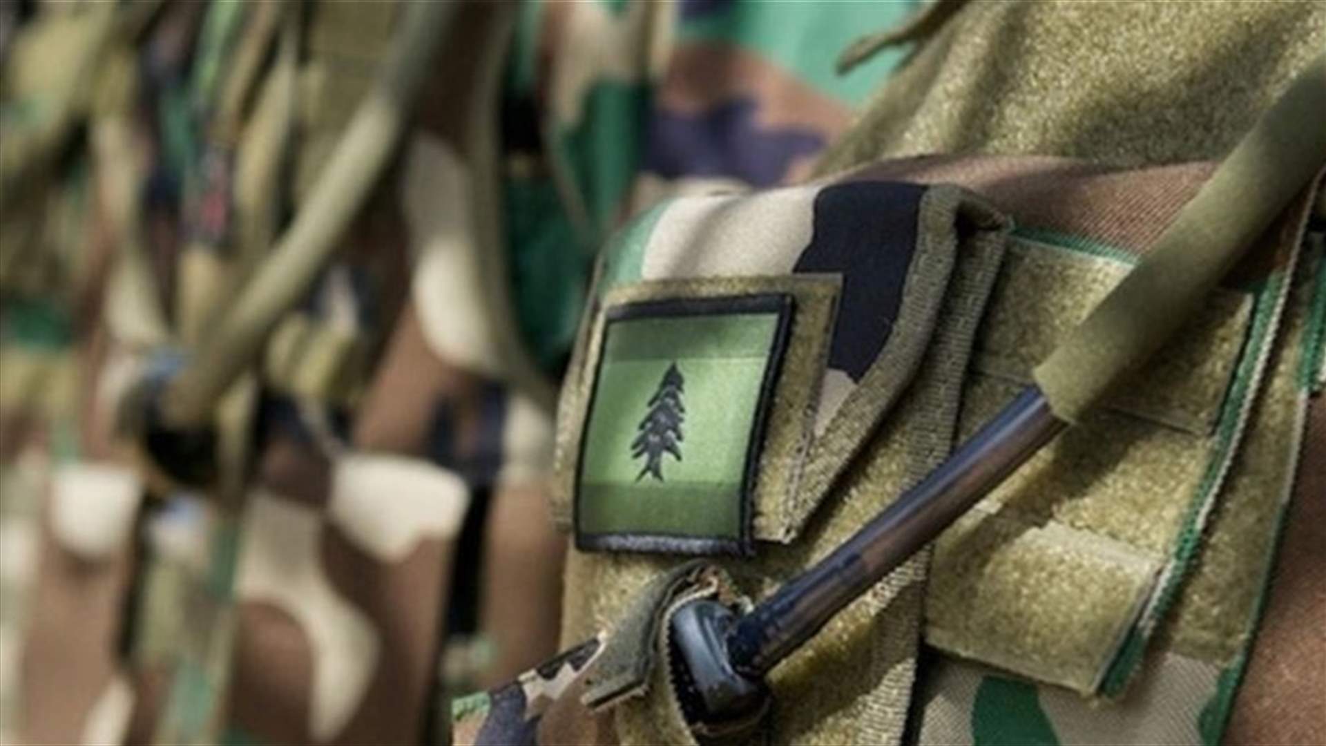 الجيش: تمارين تدريبية وتفجير ذخائر في عدد من المناطق