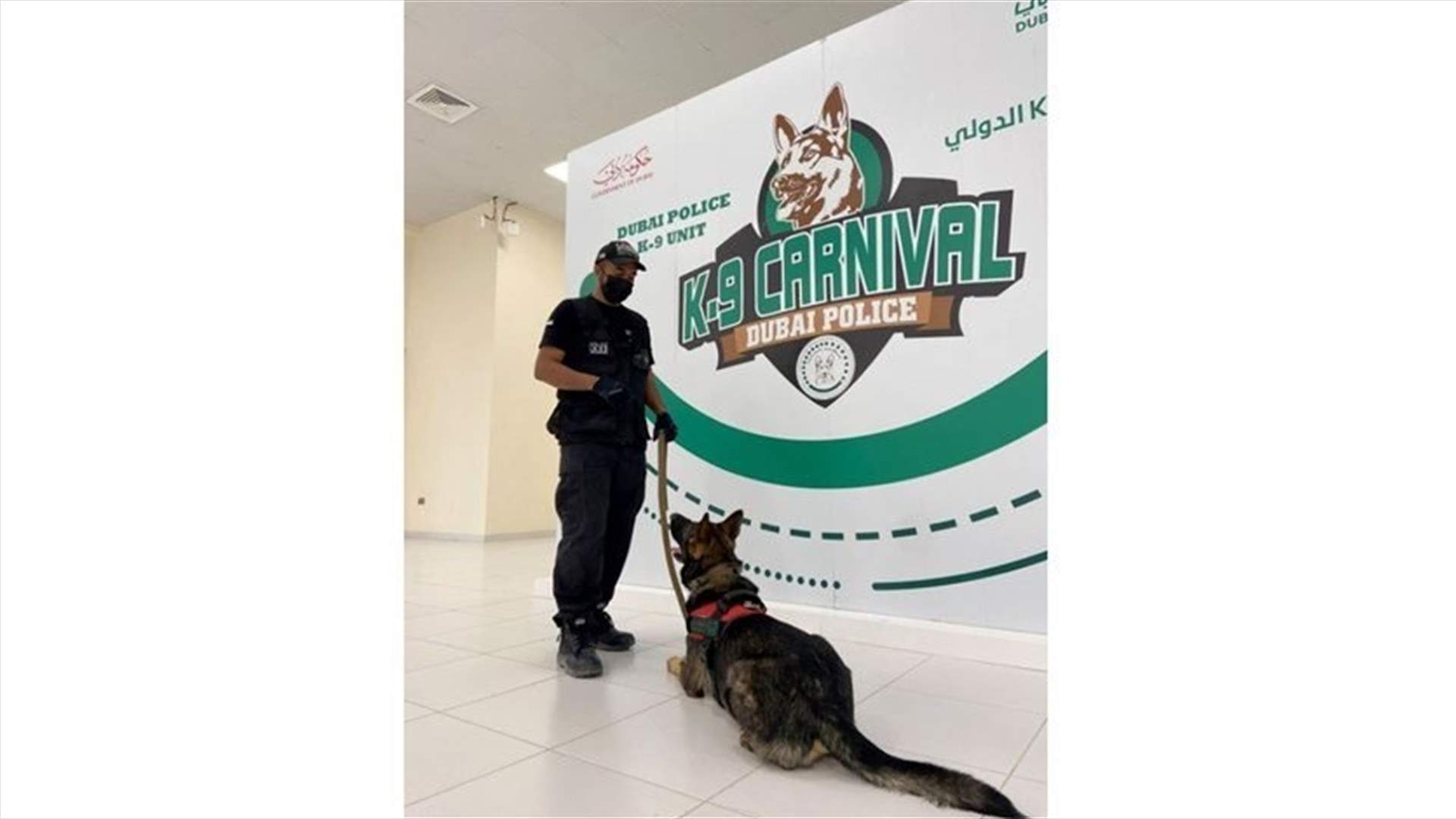 Led by the nose: Meet the UAE’s COVID-19 sniffer dogs