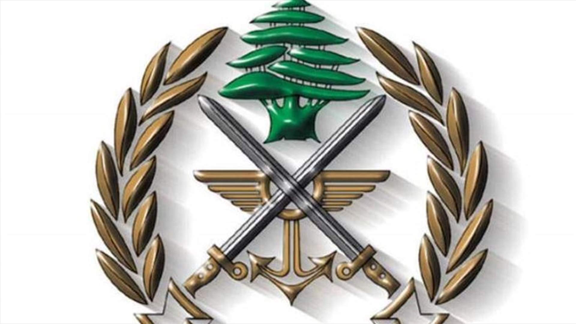 الجيش: توقيف خلية مؤيدة لتنظيم داعش في طرابلس