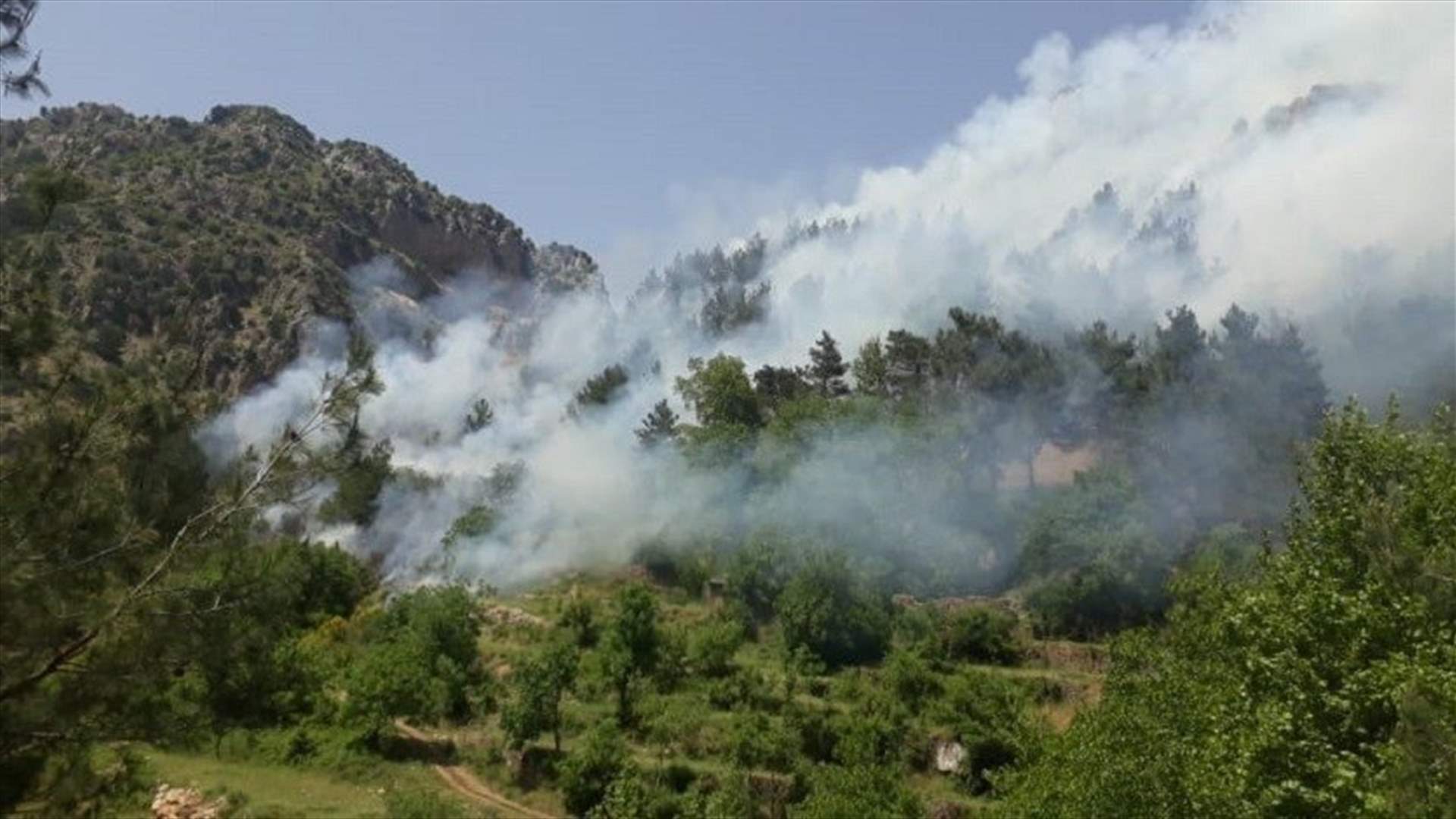 Fire breaks out in Akkar’s Mechmech