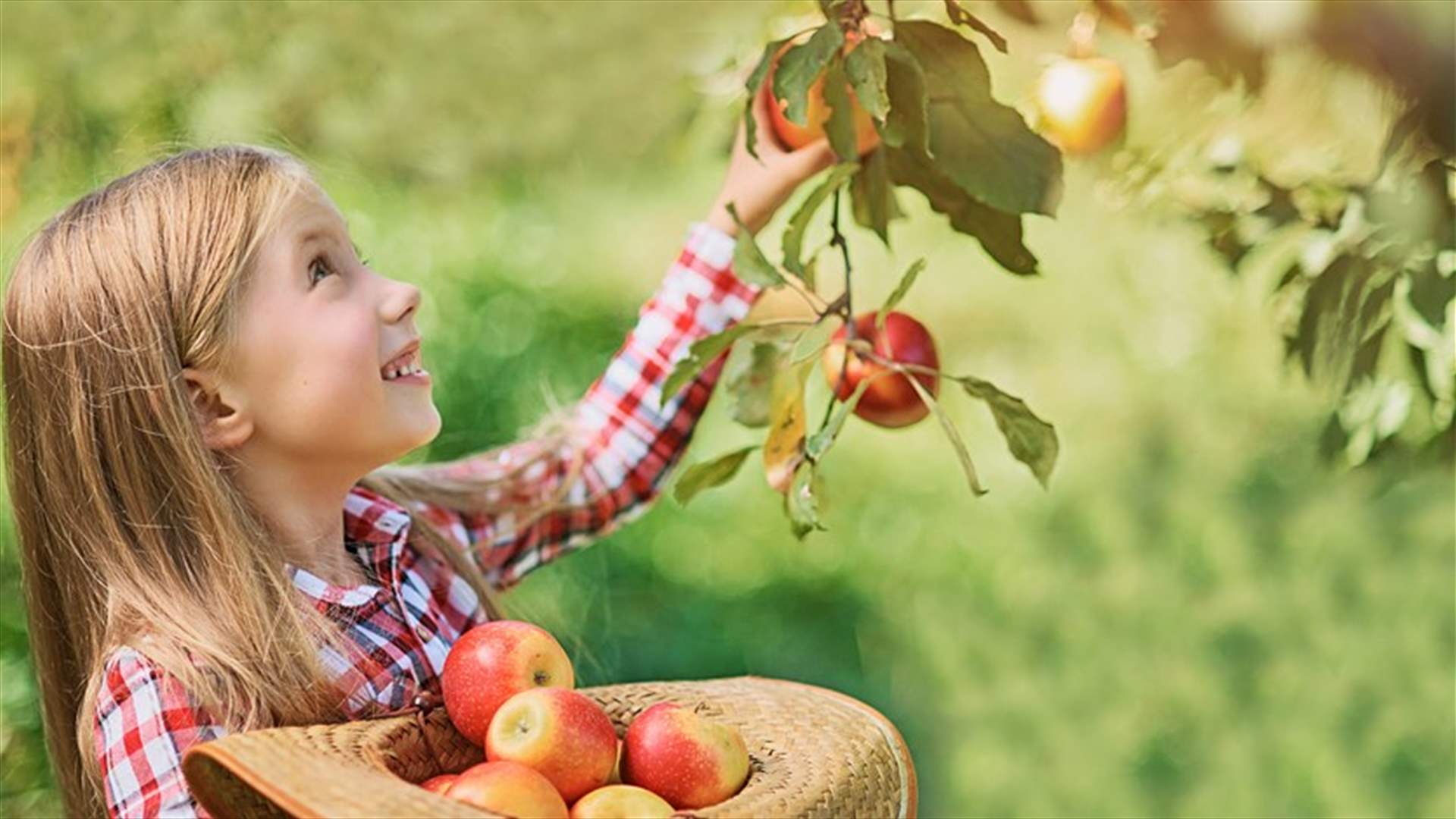 هذه الأطعمة "الخريفية" تساعد على النوم بشكلٍ أسرع ... استفيدوا منها!