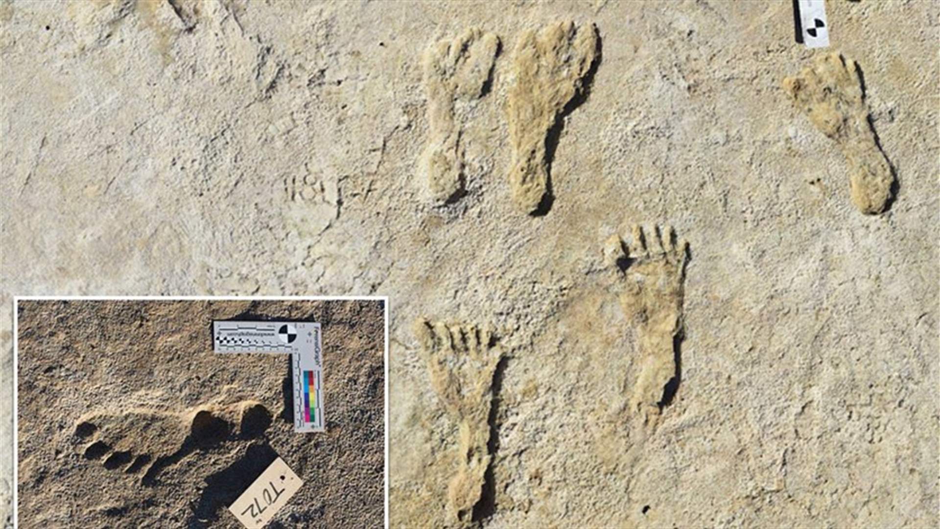 اكتشاف آثار أقدام في نيو مكسيكو تعود إلى 23 ألف عام... أول دليل على النشاط البشري في أميركا!