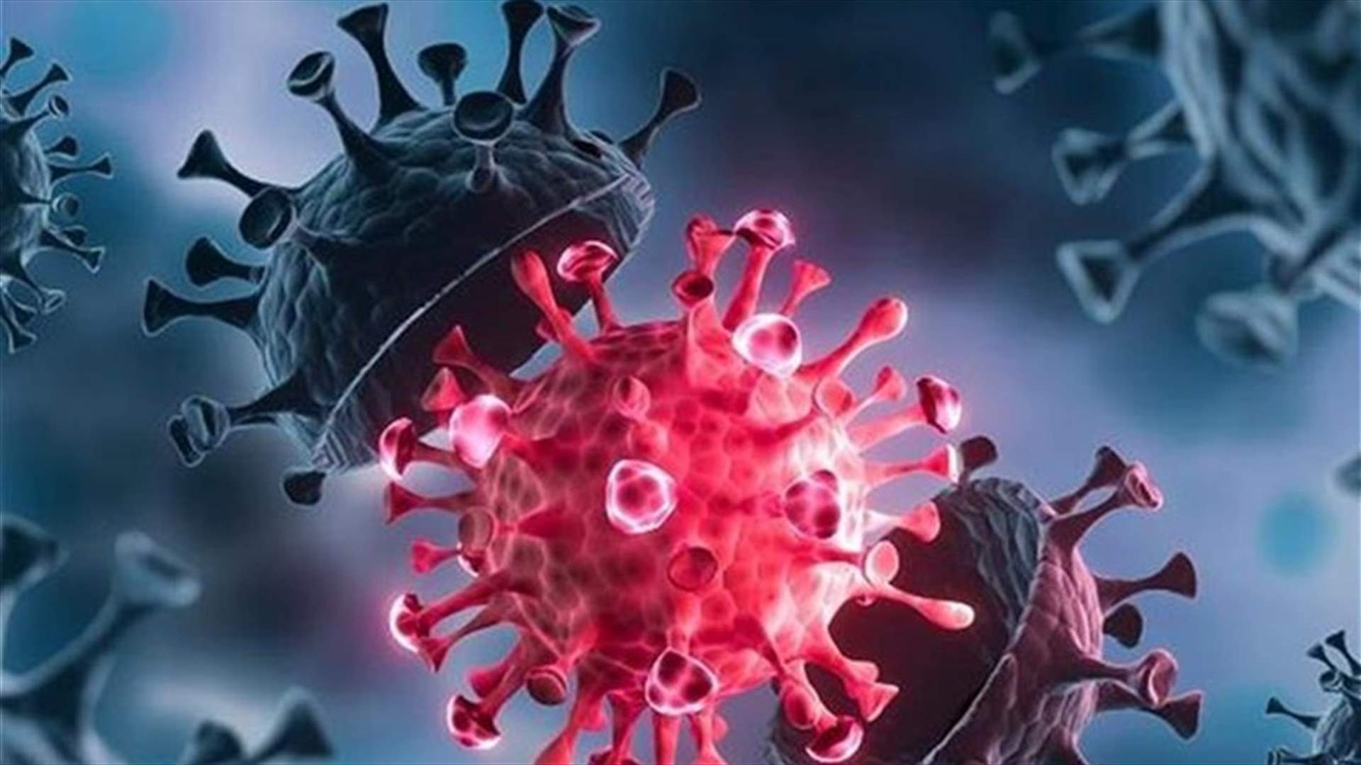 Health Ministry: 543 new Coronavirus cases registered, 10 more deaths