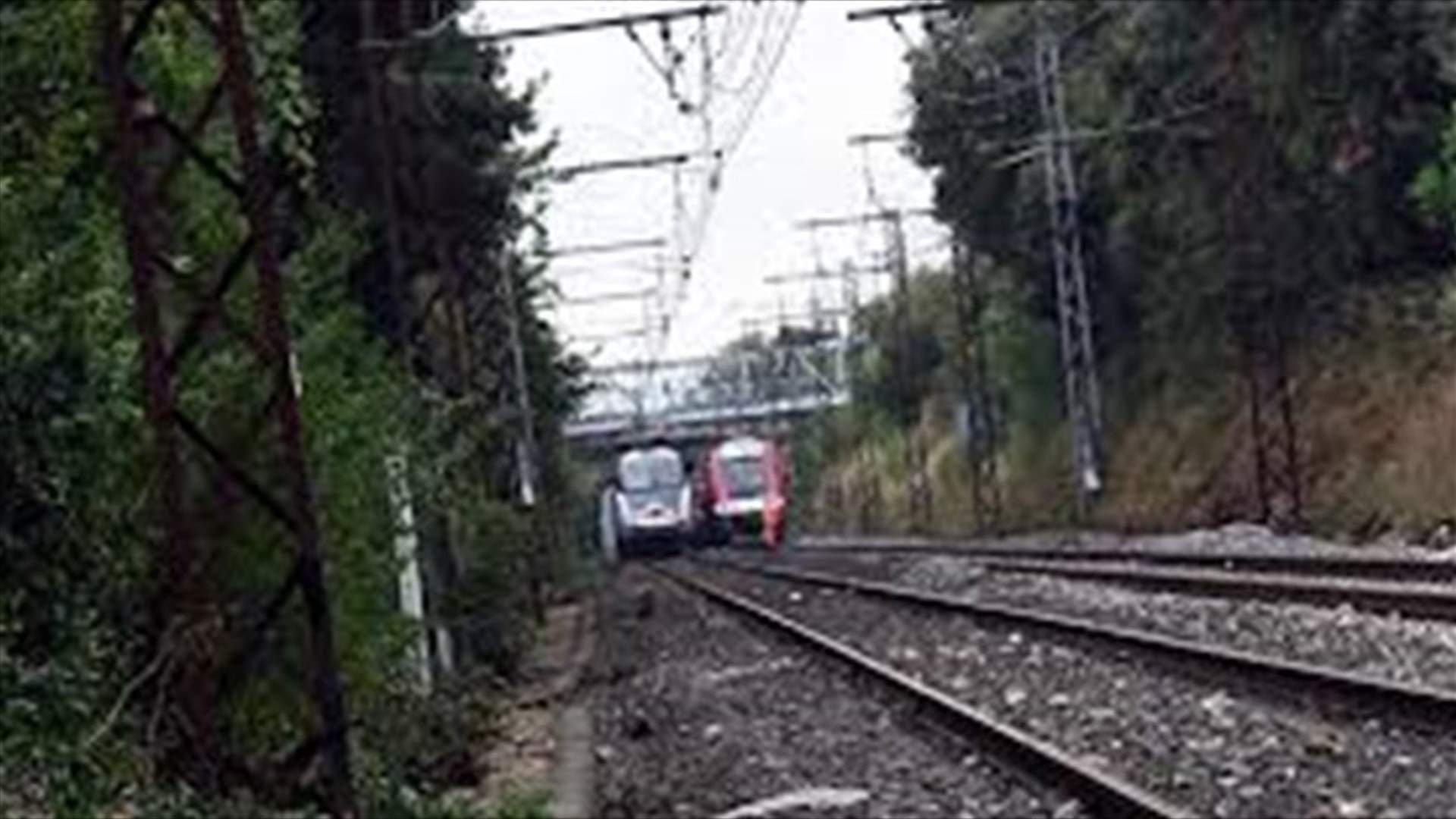 Three migrants dead after being hit by a train in southern France - police