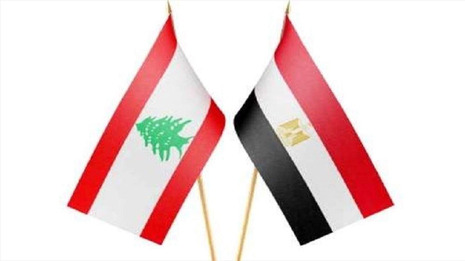 الاتّفاق على آلية تسعير الغاز مع مصر: العقد صار قريباً (الأخبار)