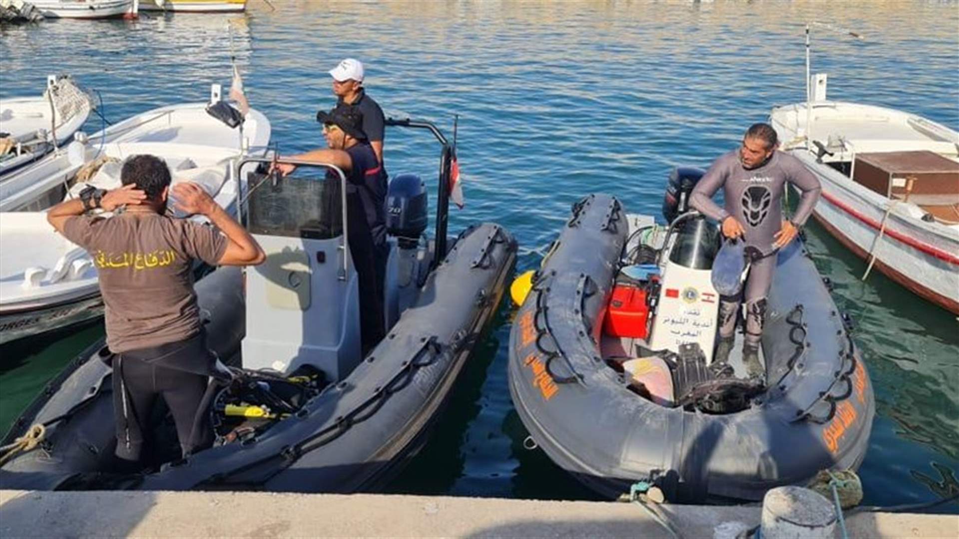 استئناف عمليات الغطس مقابل شاطئ حالات بحثا عن المفقودين على متن طائرة التدريب