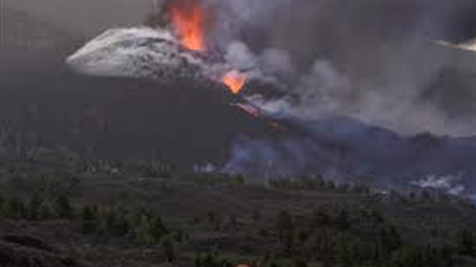 Drone operator will try to rescue dogs from Spanish volcano