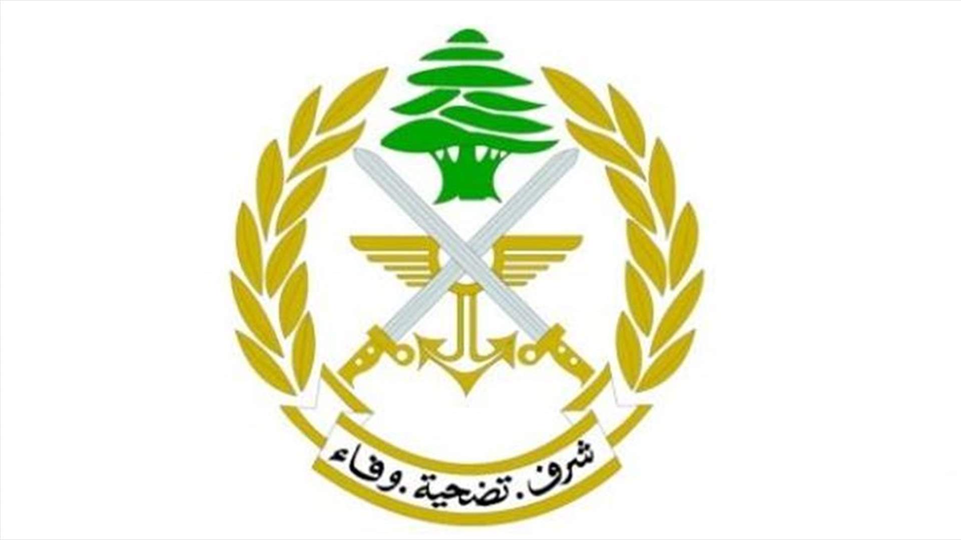 الجيش: توقيف ٧ أشخاص في بلدة ببنين لمشاركتهم في أحداث وادي الجاموس (صور)