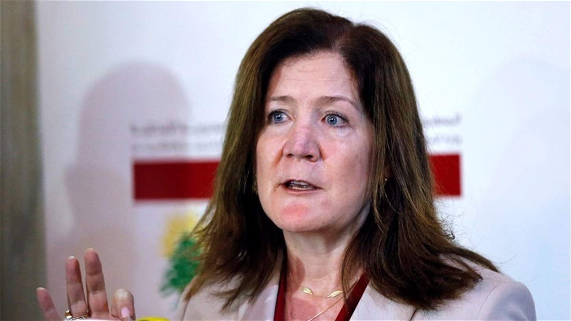 US Ambassador to the Lebanese: We will meet you where you are