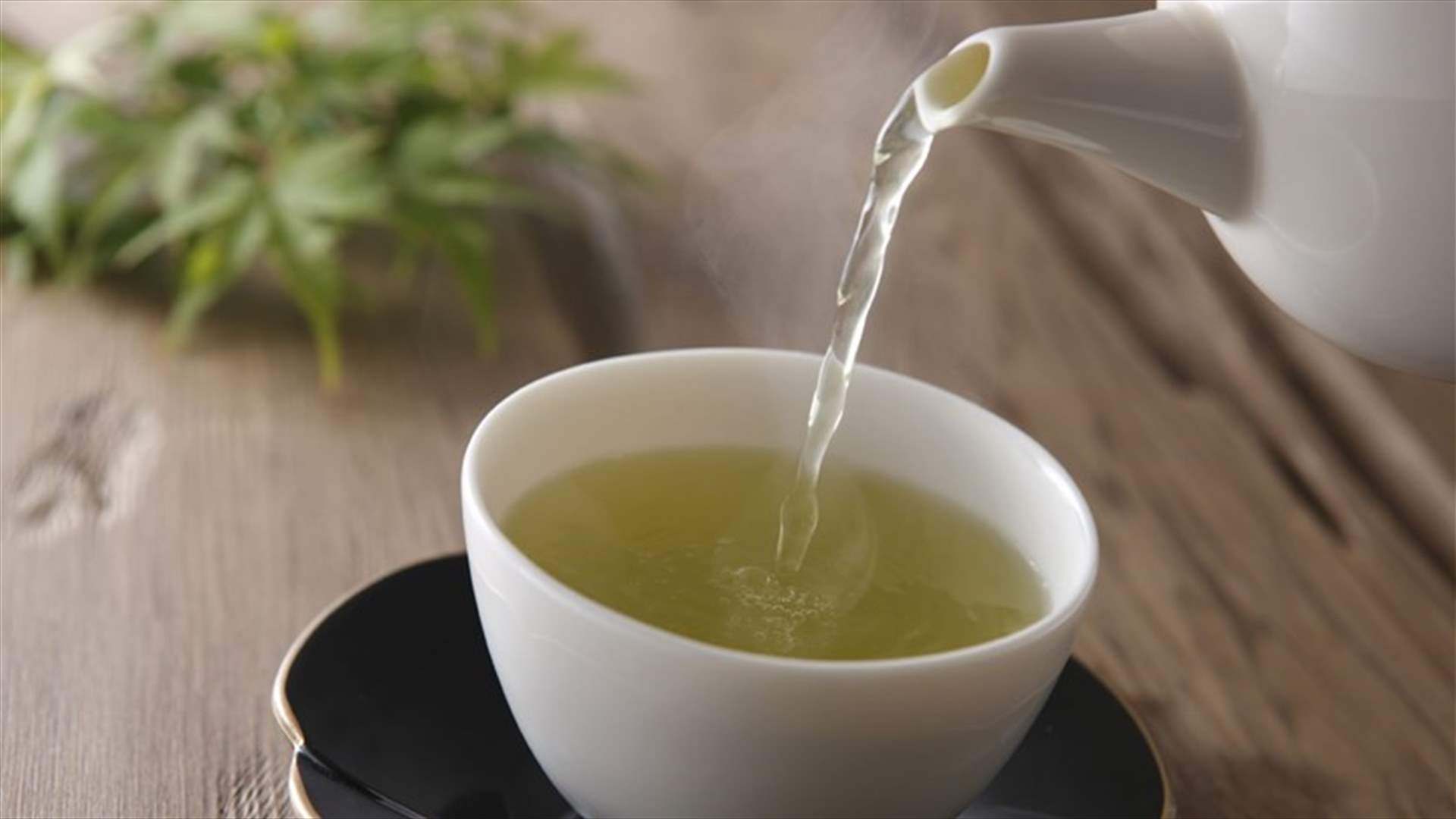 قناع الشاي الأخضر للوجه... إليكم فوائده!