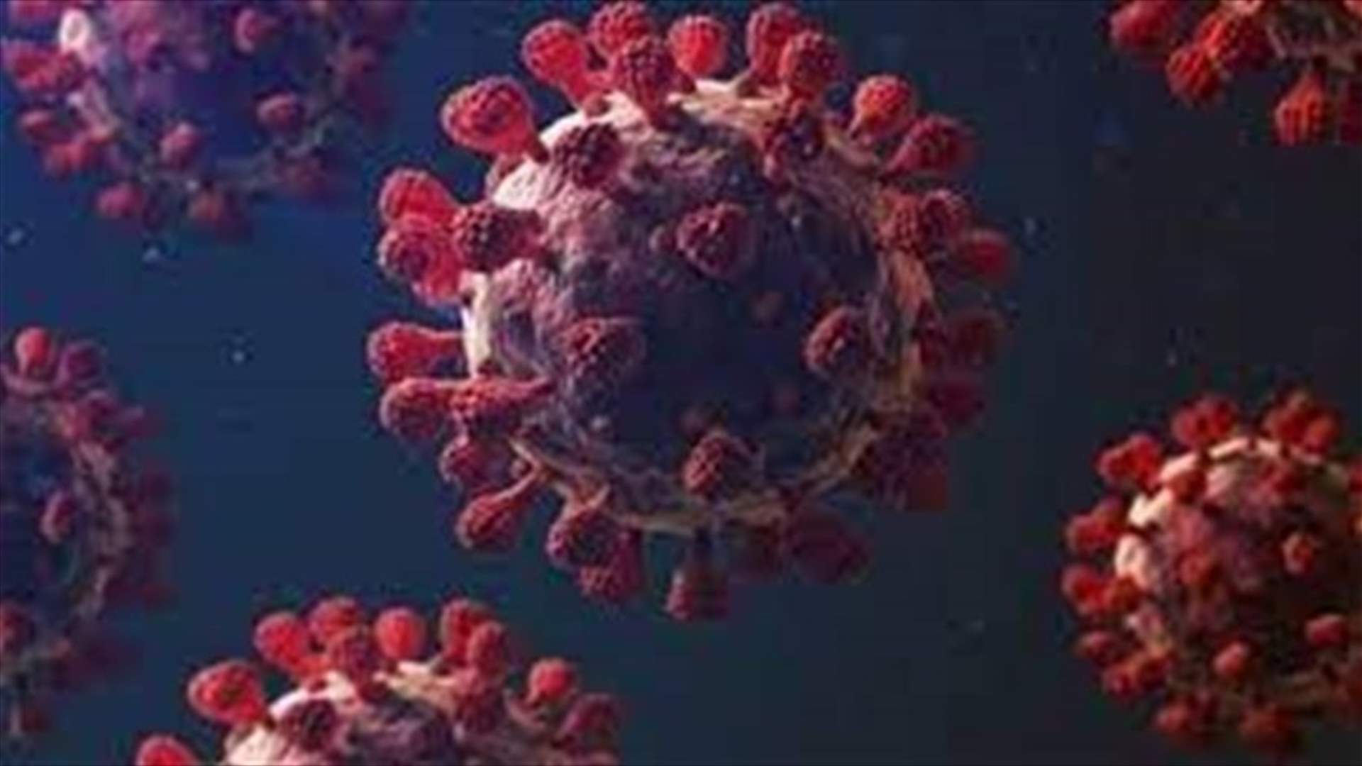 Health Ministry confirms 663 new Coronavirus cases, 8 new deaths