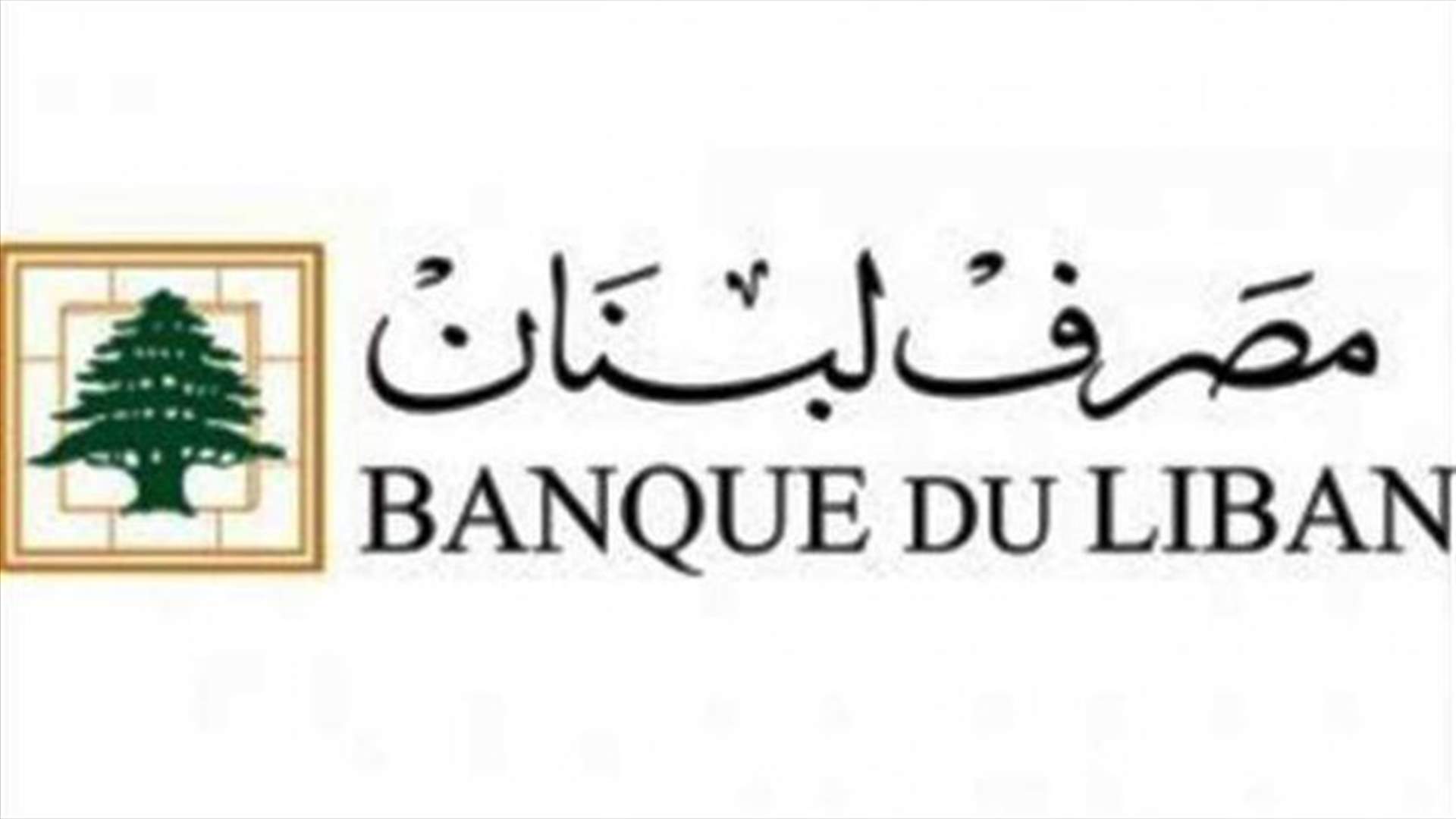 كم بلغ حجم التداول على SAYRAFA اليوم؟