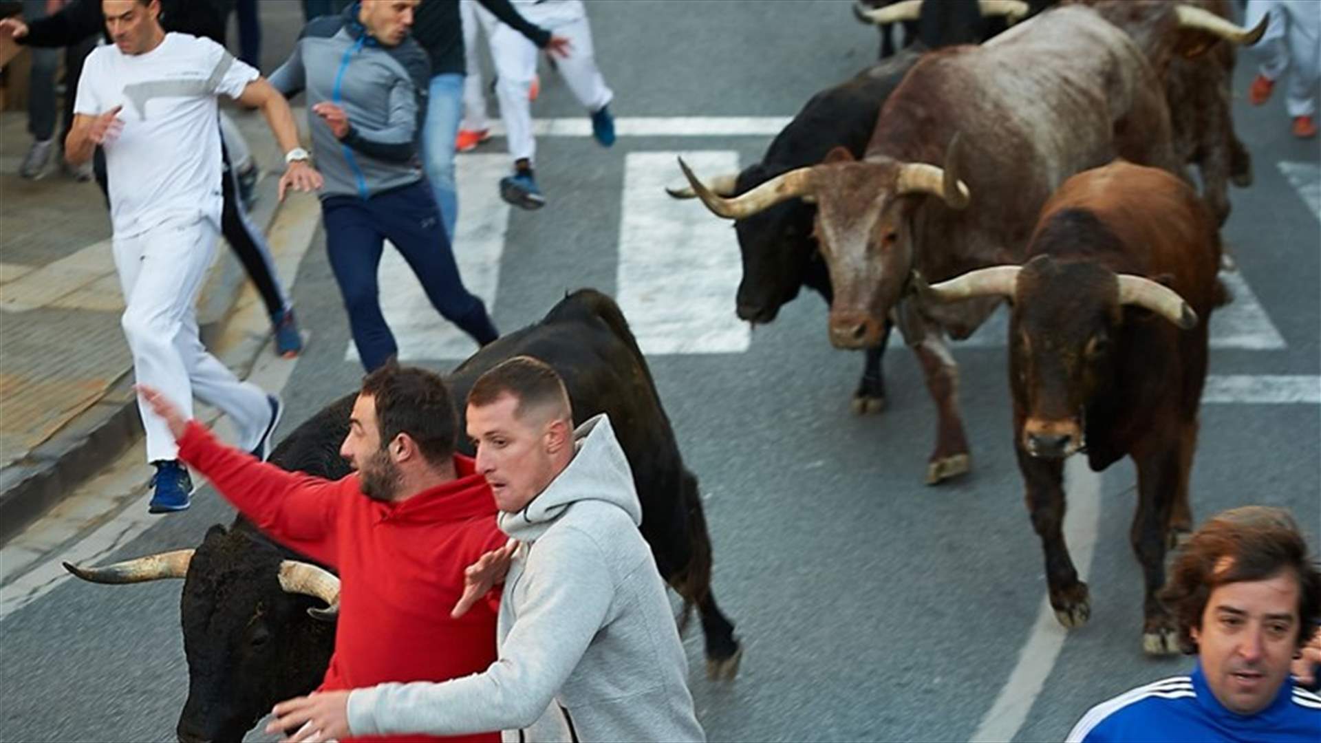 وفاة رجل نطحه ثور في إسبانيا!