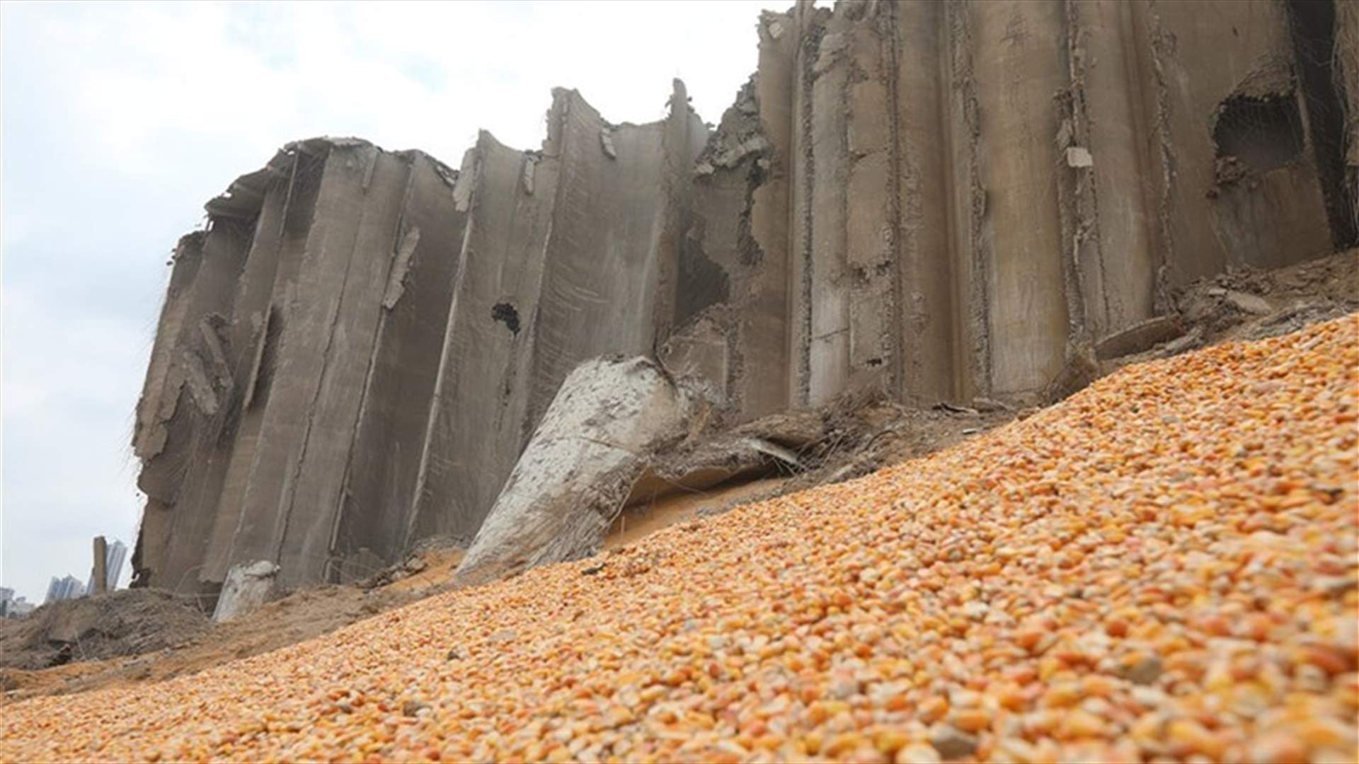 بعد أكثر من عام على انفجار مرفأ بيروت... ما مصير حبوب الاهراءات؟