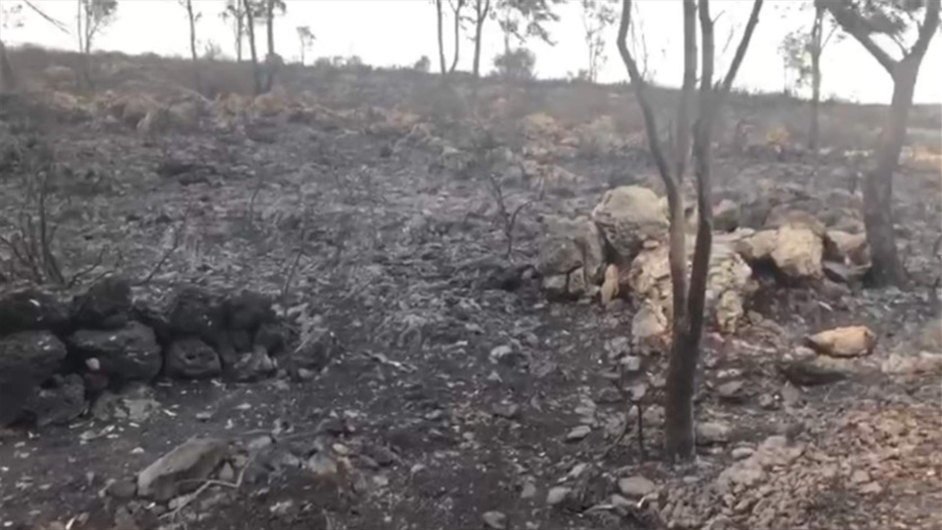 فيديو يوثق الأضرار الناجمة عن الحريق في المنصوري ومجدل زون