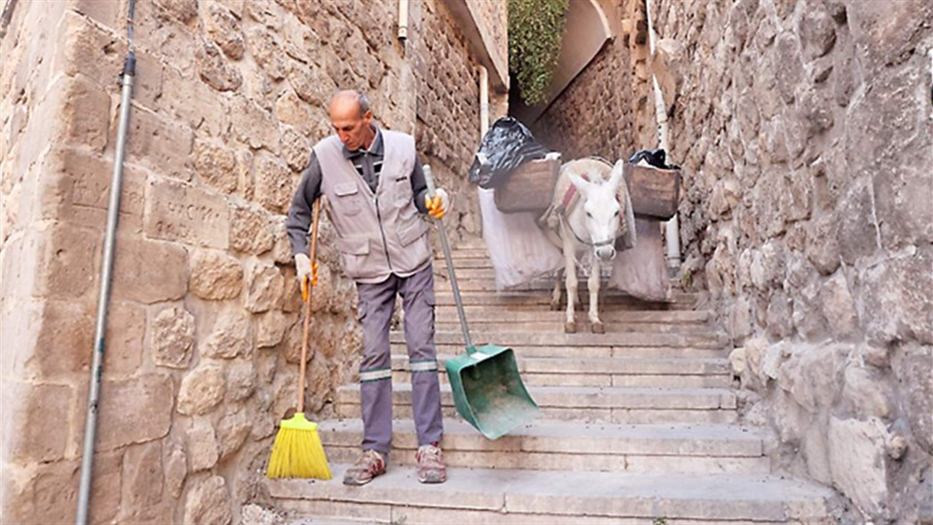 &quot;عمال نظافة&quot;... مدينة تركية توظف الحمير لتنظيف شوارعها الضيّقة